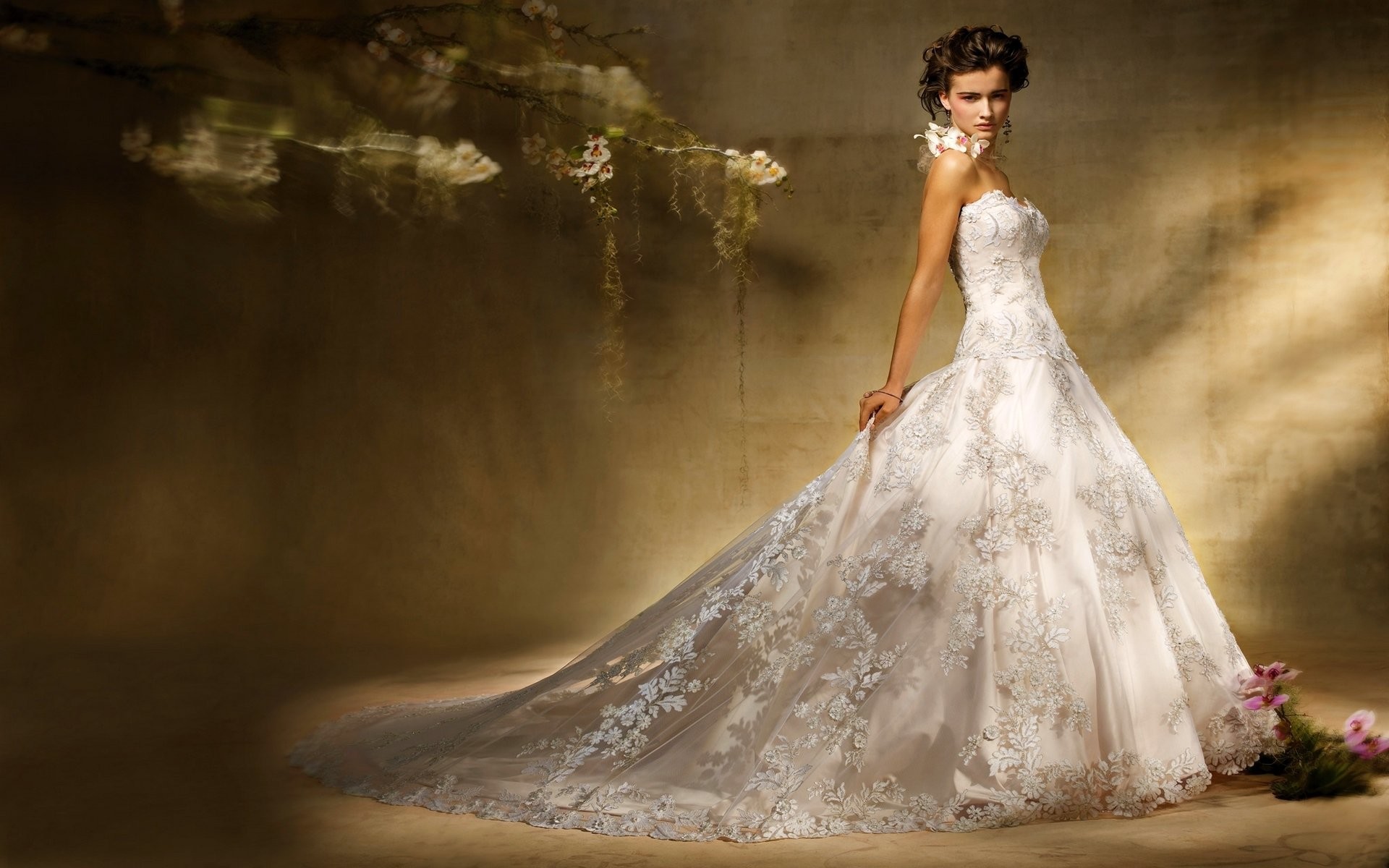 Inspiring White Lace Wedding Dresses Background Hd - Hd Wedding Dress - HD Wallpaper 