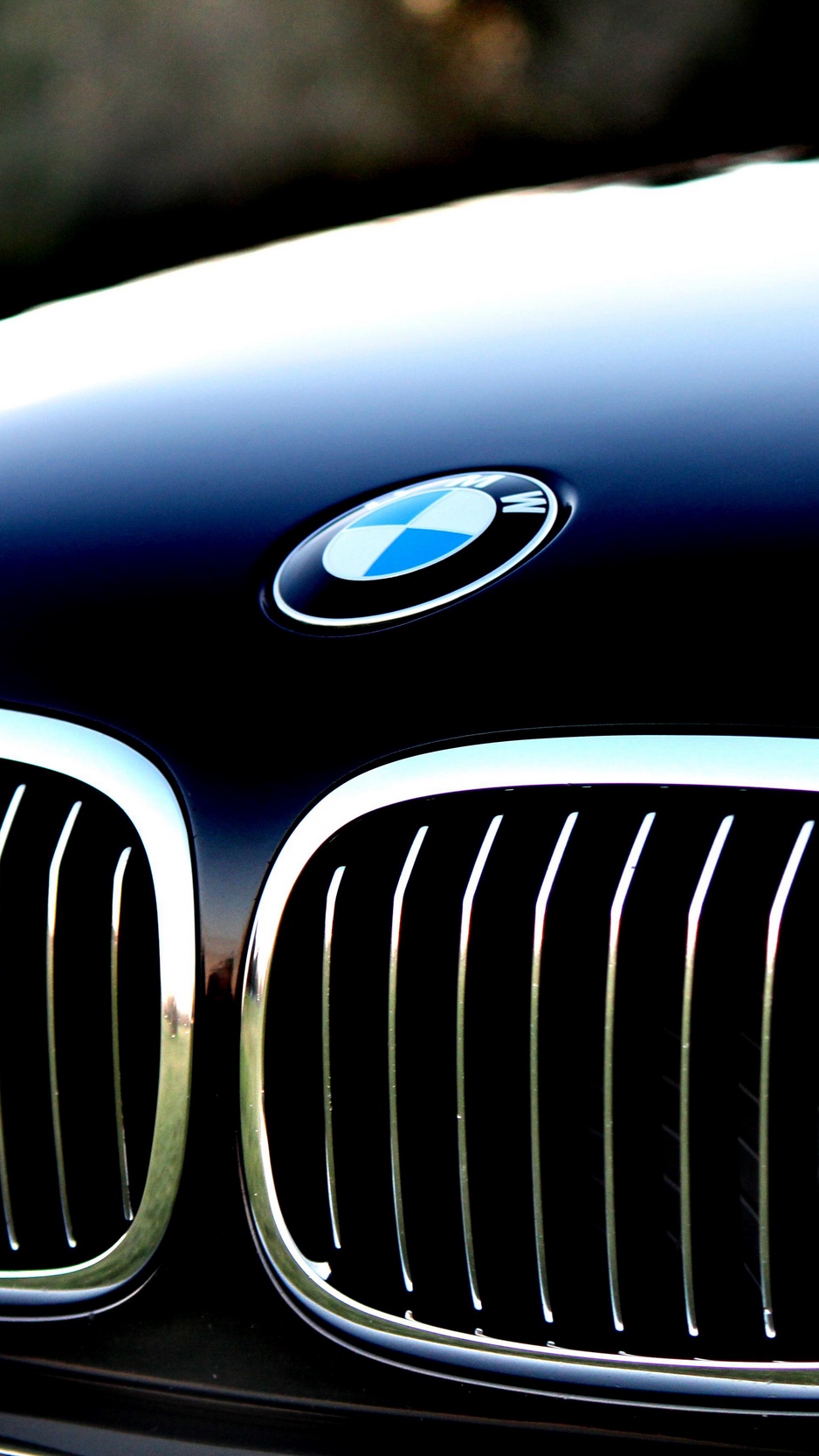 Wallpaper Bmw, Hood, Logo - HD Wallpaper 