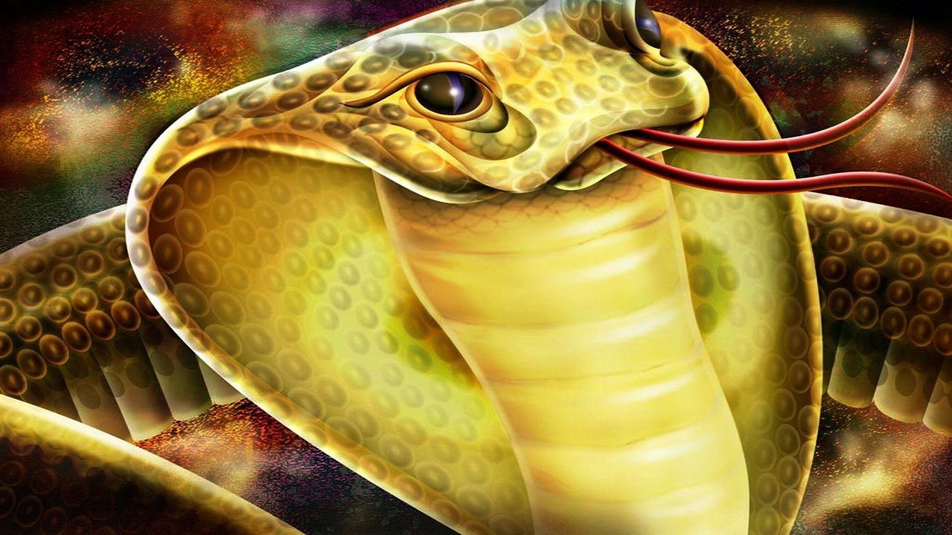 All Snake Images King Kobra Hd - HD Wallpaper 