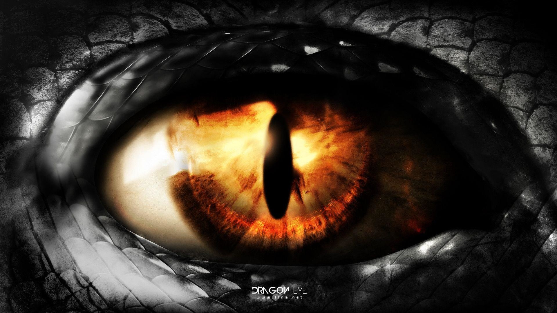 Wallpapers For > 3d Dragon Eye Wallpaper 
 Data-src - Dragon Eye Wallpaper Hd - HD Wallpaper 