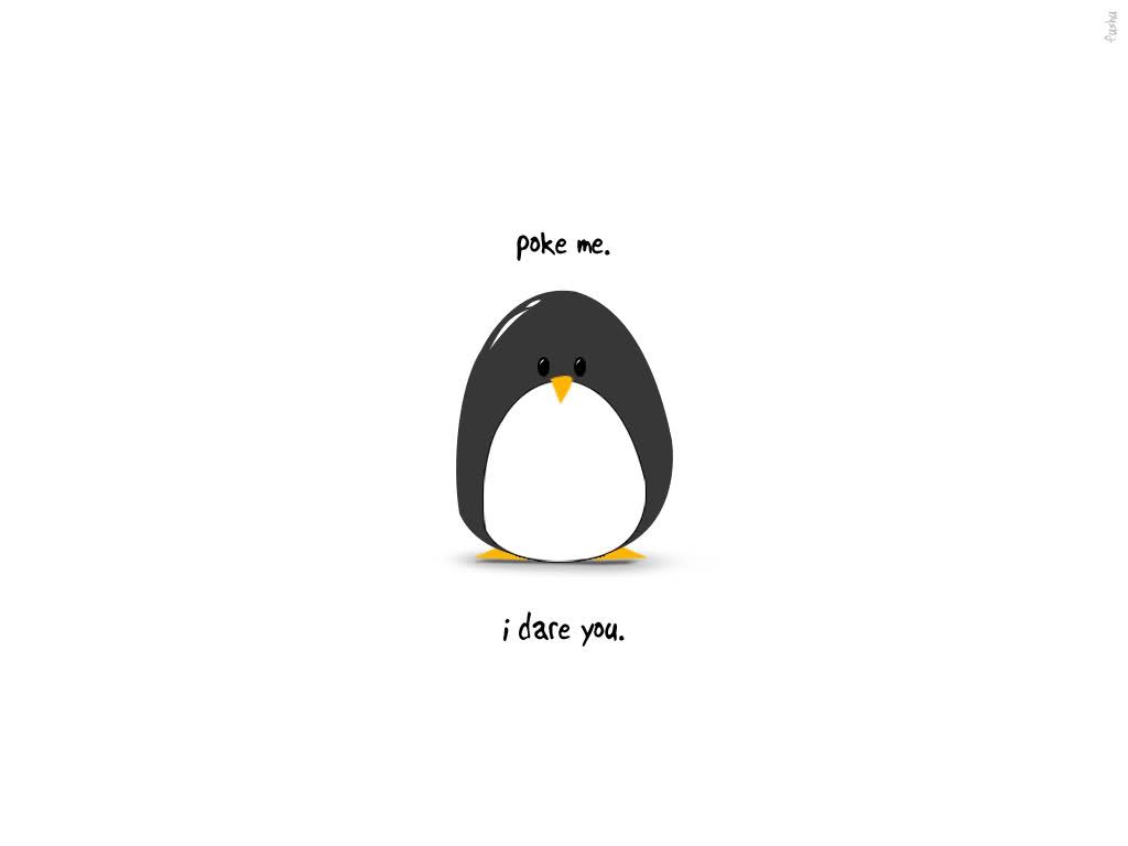 Free Funny Penguin Wallpaper Android Apk Download For - Poke Me I Dare You  - 1024x768 Wallpaper 