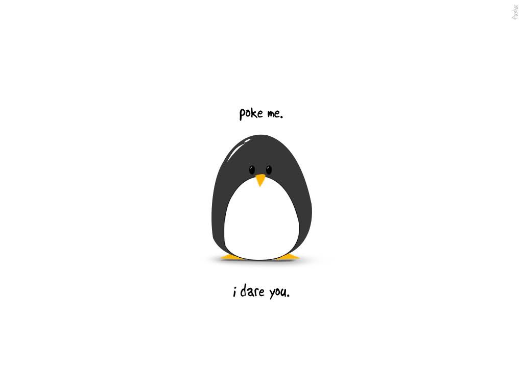 Free Funny Penguin Wallpaper Android Apk Download For - Poke Me I Dare You - HD Wallpaper 