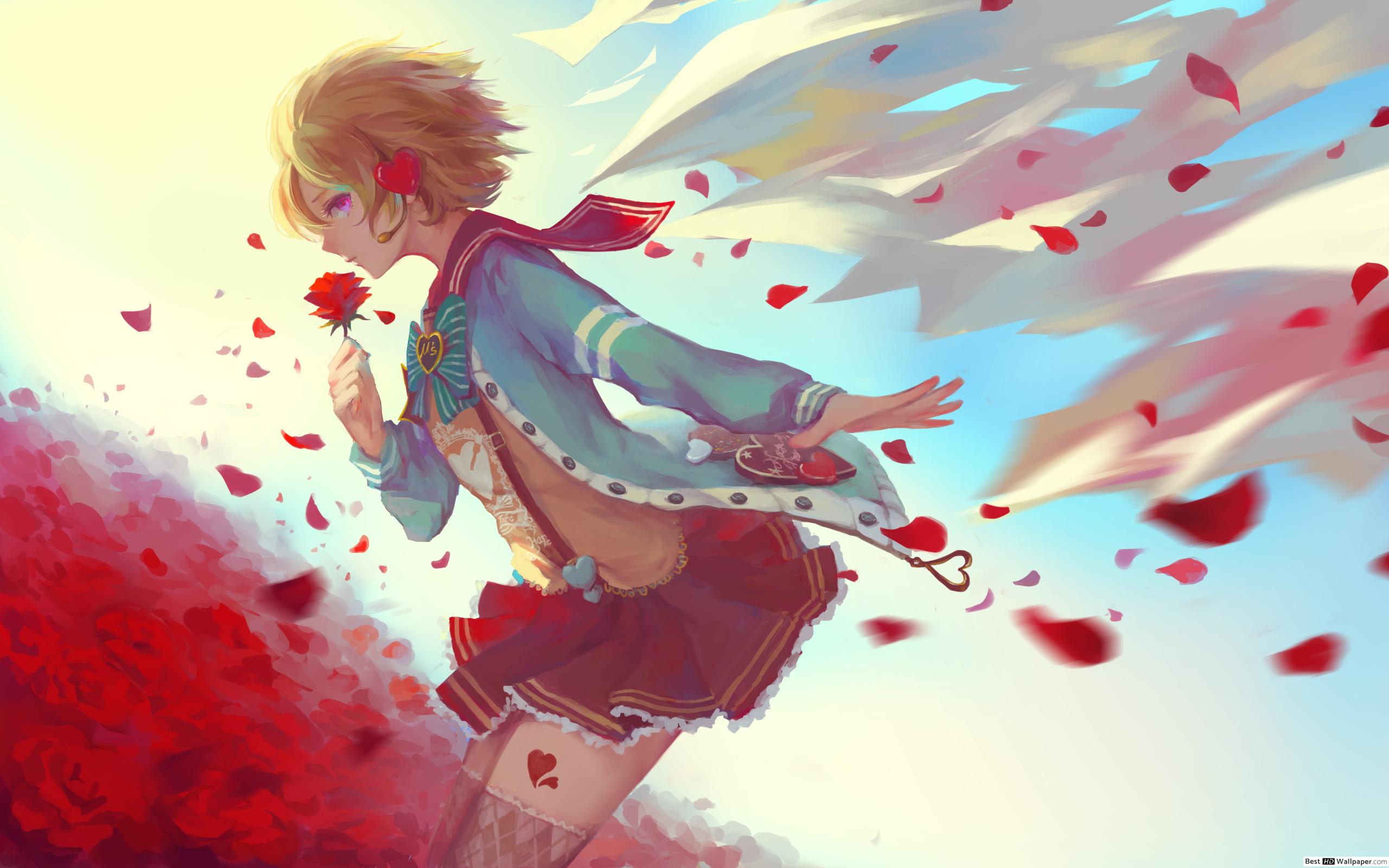 Hanayo Koizumi - HD Wallpaper 