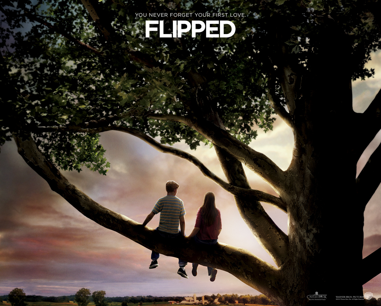 Flipped Movie Wallpaper Hd - HD Wallpaper 