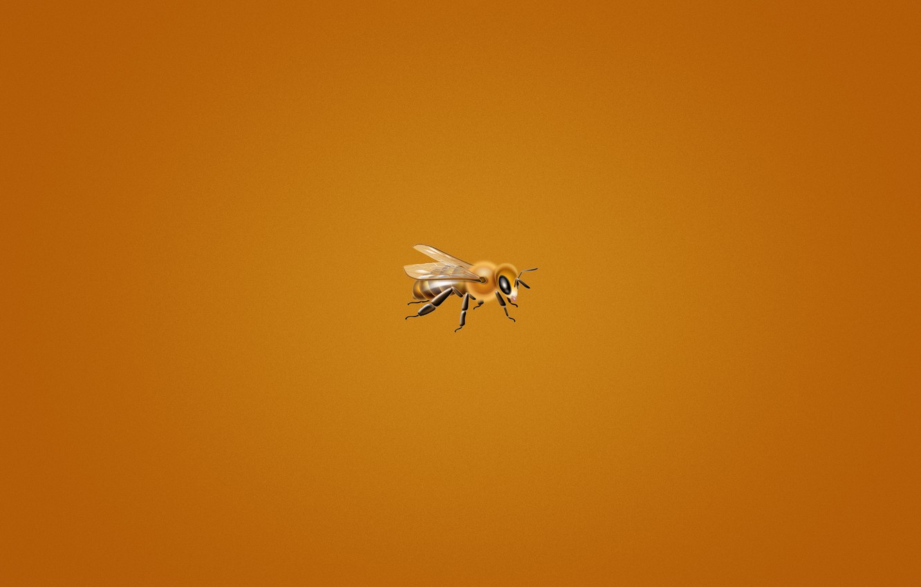 Photo Wallpaper Bee, Minimalism, Orange Background, - Minimalist Desktop Backgrounds Bee - HD Wallpaper 
