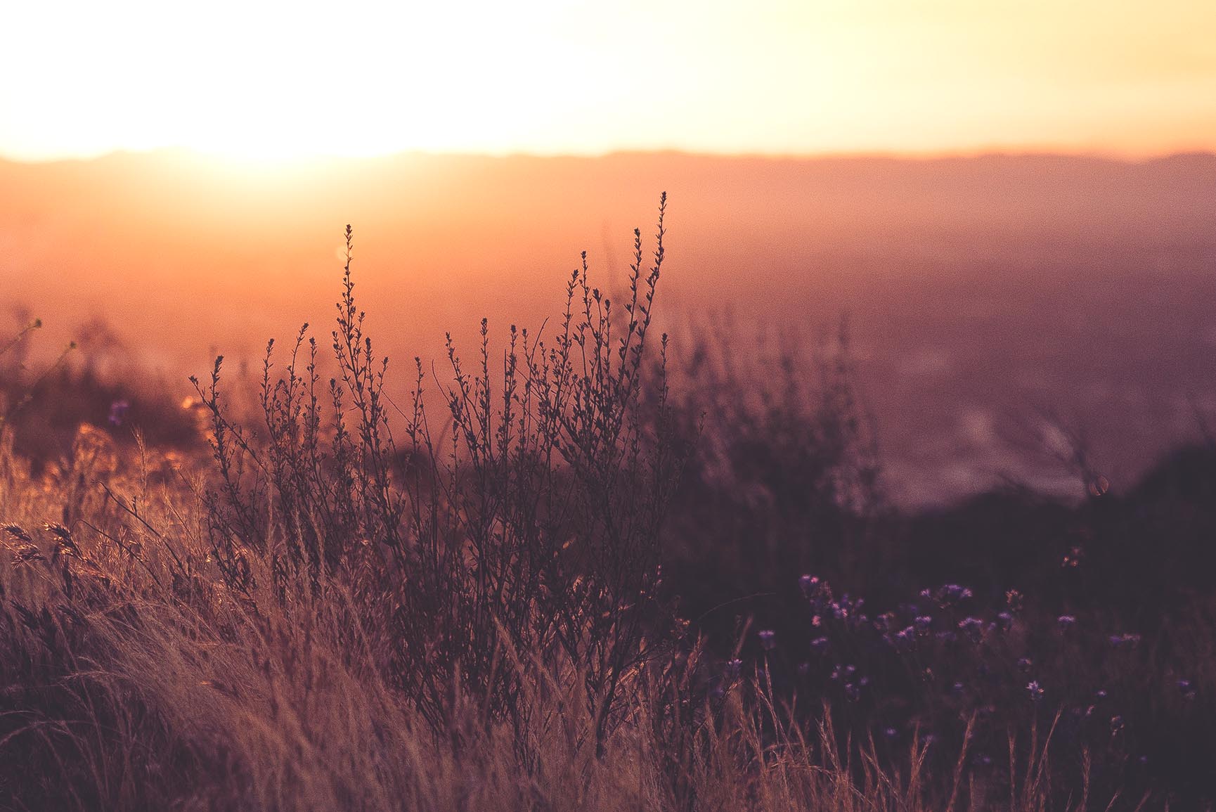 Sunset - HD Wallpaper 