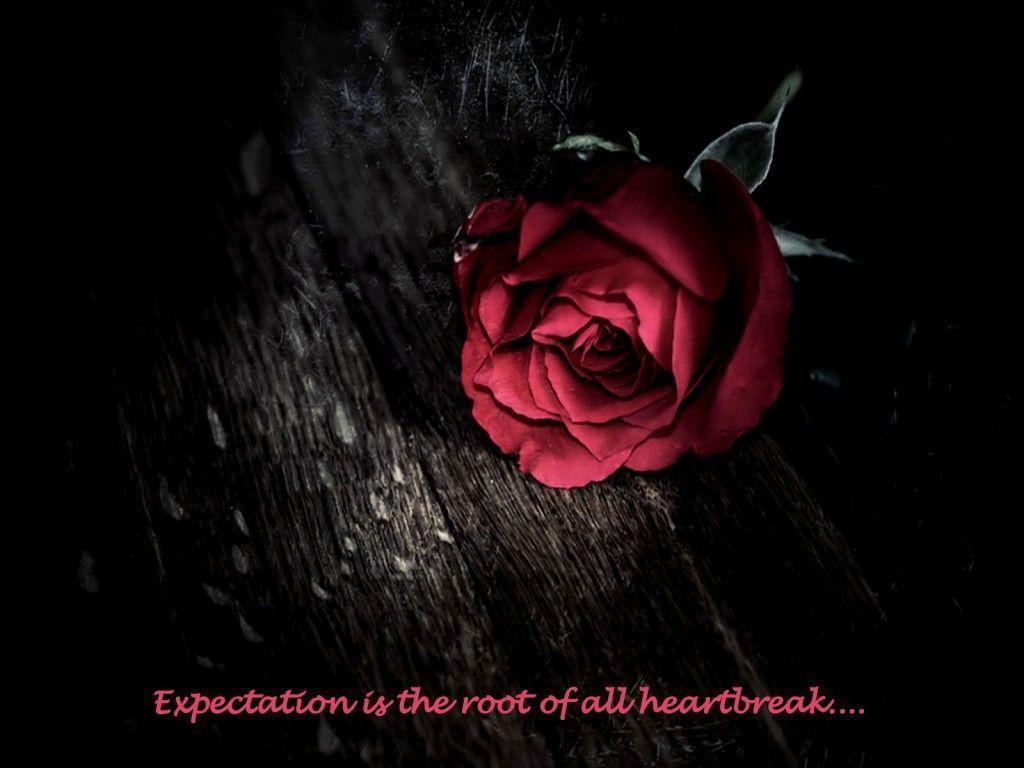Sad Love Quotes With Rose - HD Wallpaper 
