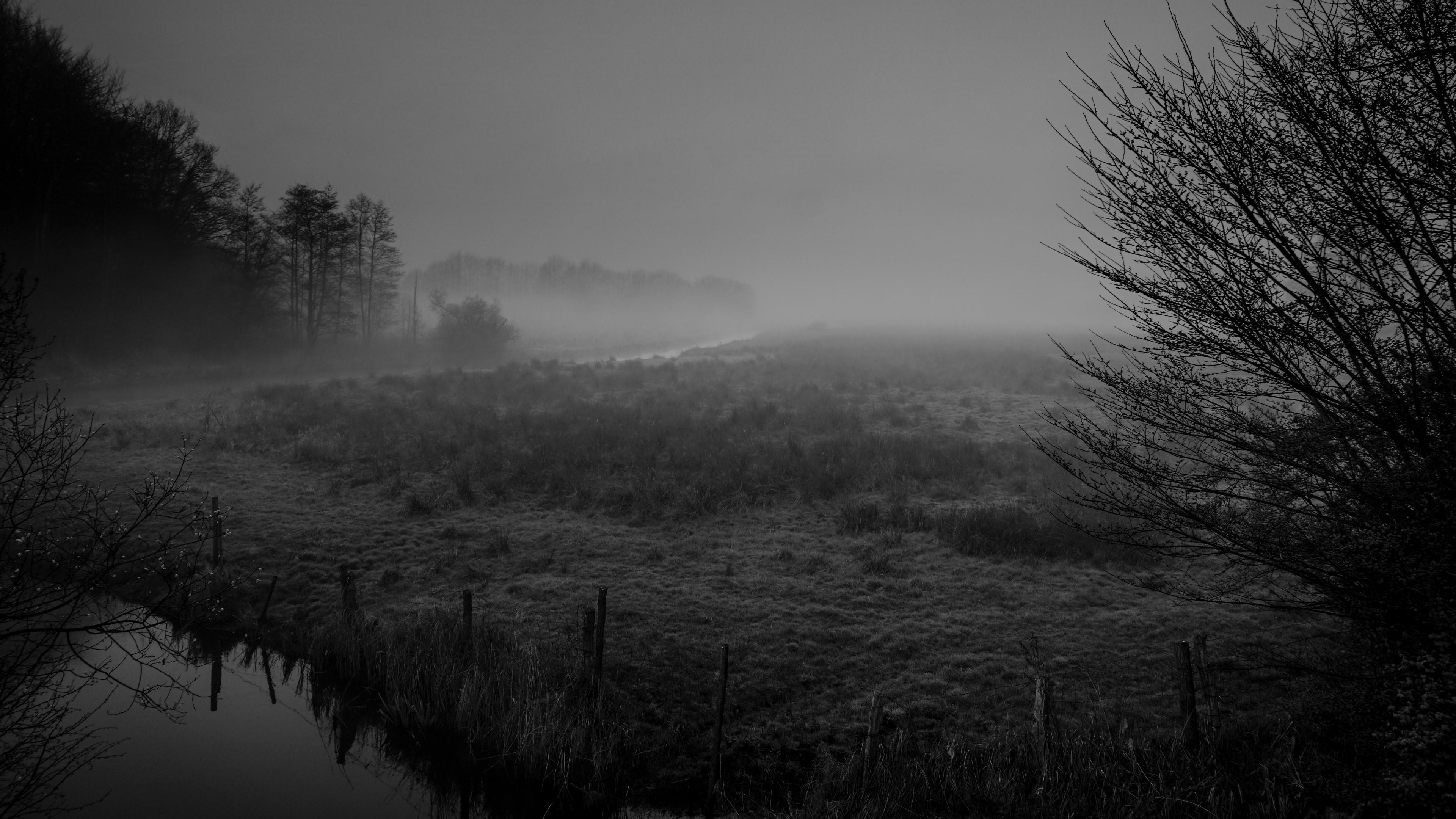 3840x2160, Morning Fog Wallpaper - Fog Dark - HD Wallpaper 