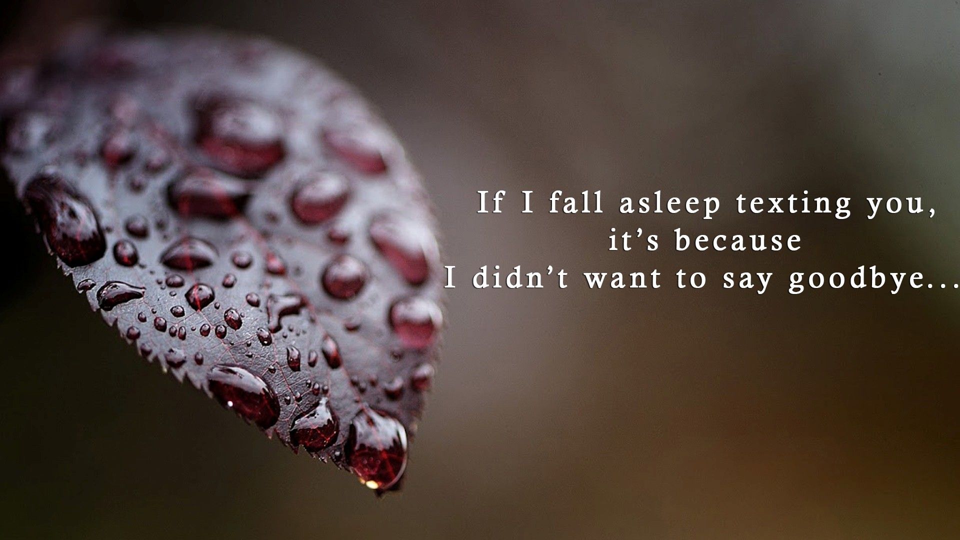 Best Thoughts Of Relationship - 1920x1080 Wallpaper Best Thoughts Of Relationship - 1920x1080 Wallpaper