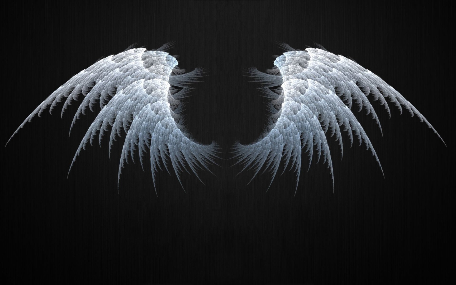 Angel Wings Hd - 1920x1200 Wallpaper 