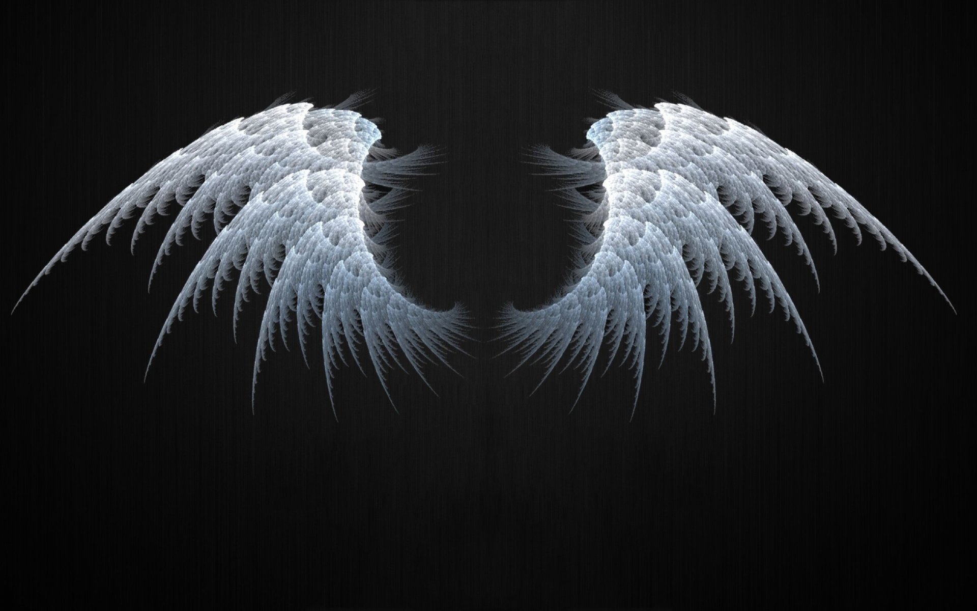 Angel Wings Hd - 1920x1200 Wallpaper Angel Wings Hd - 1920x1200 Wallpaper