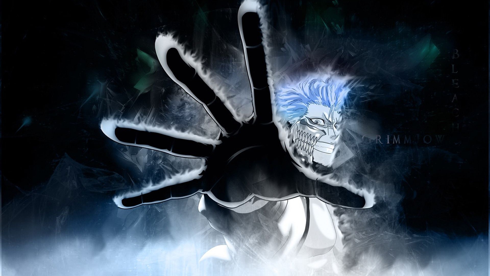 Bleach Wallpaper Grimmjow - HD Wallpaper 