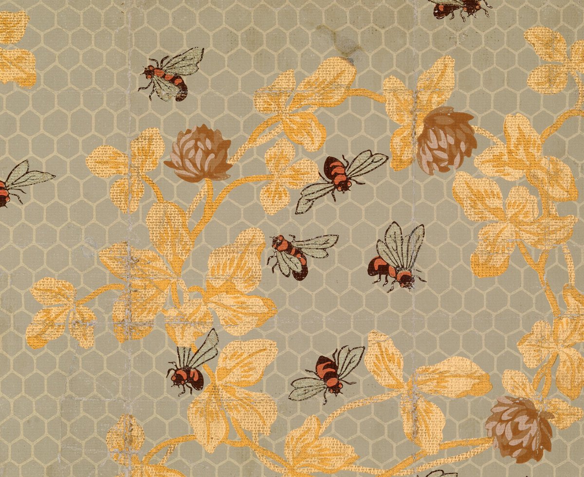 Candace Wheeler - HD Wallpaper 