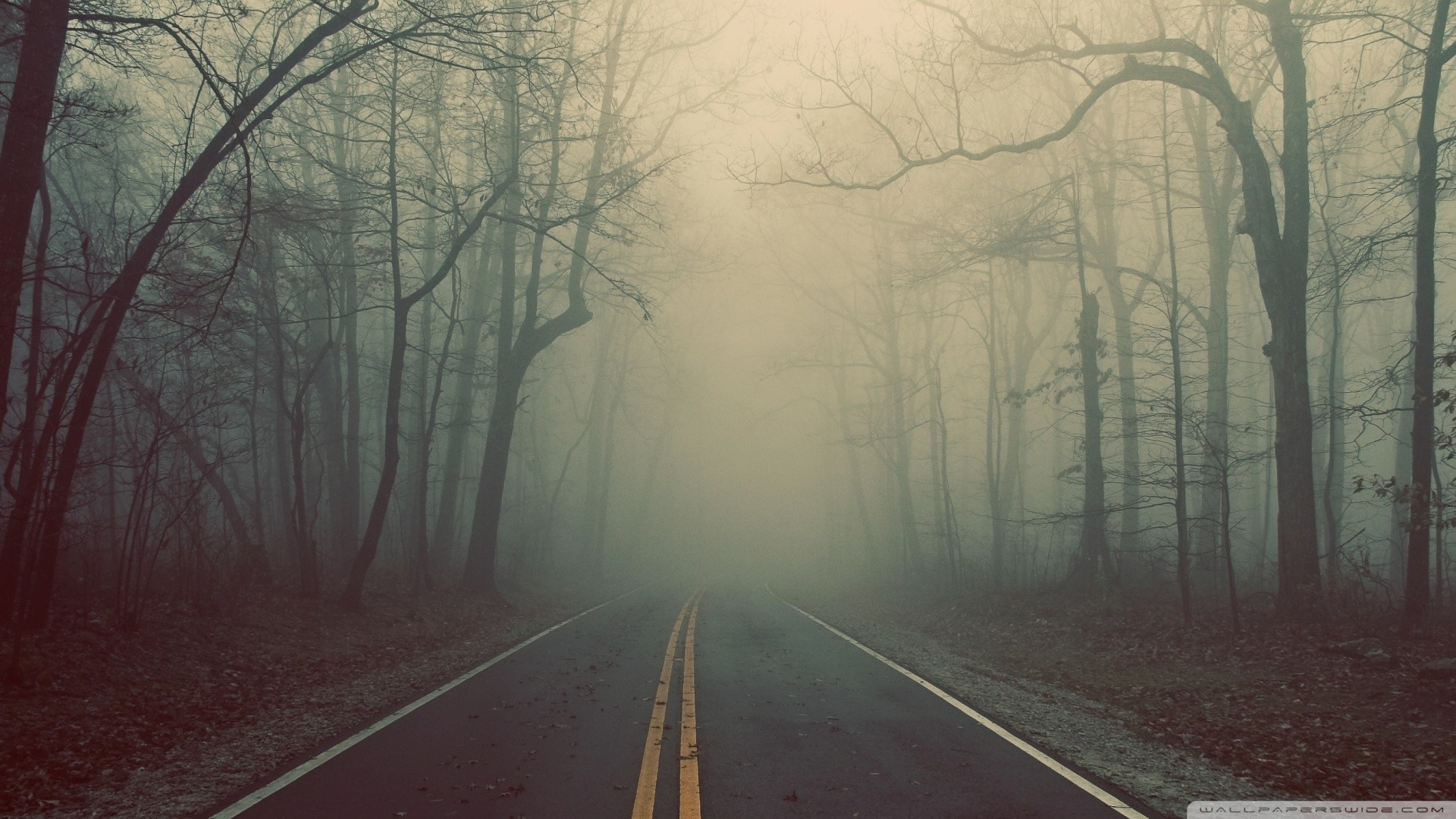 Hd - Foggy Road - HD Wallpaper 