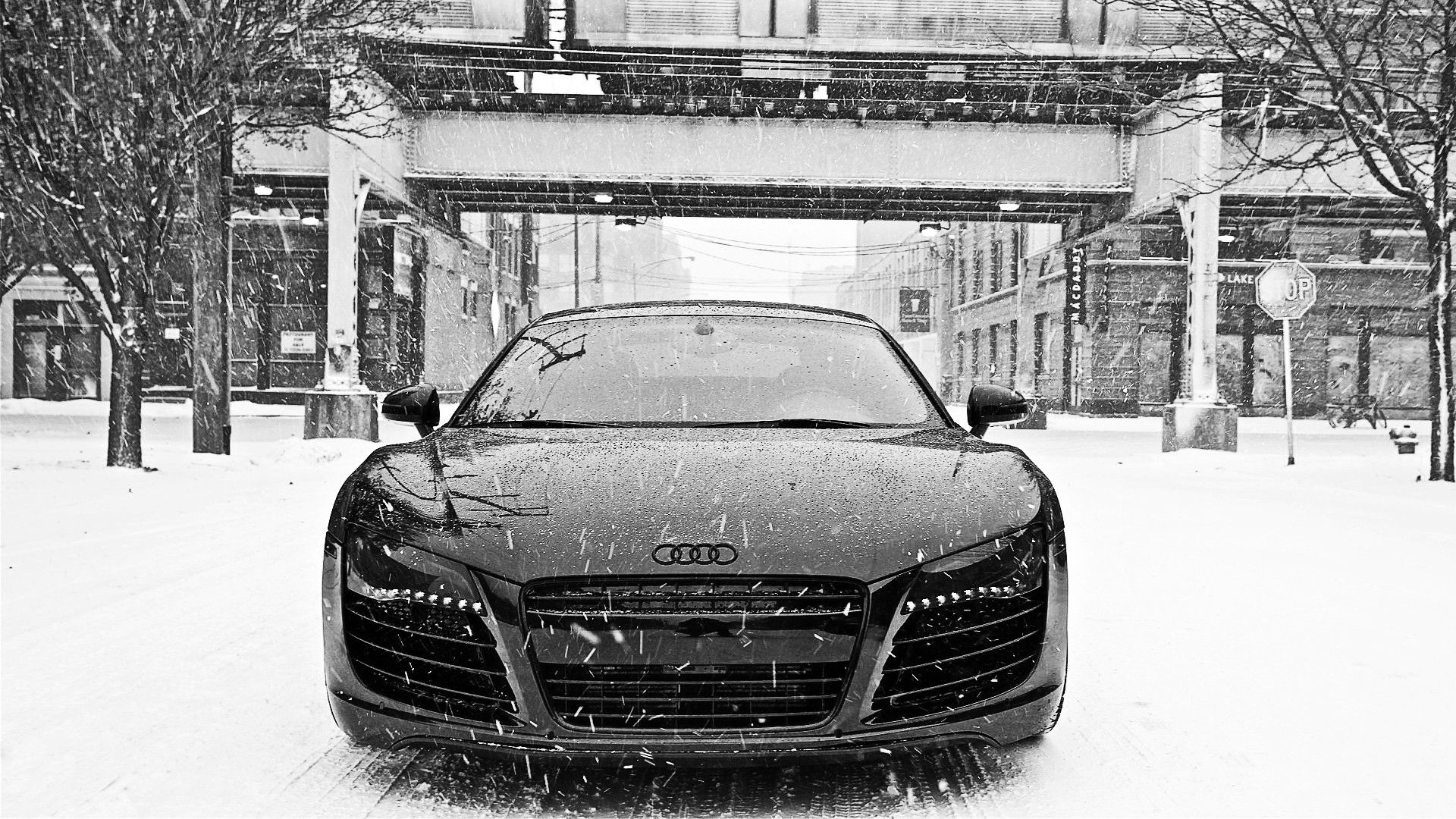 Black And White Audi R8 In Snow Hd Wallpaper - Audi R8 - HD Wallpaper 