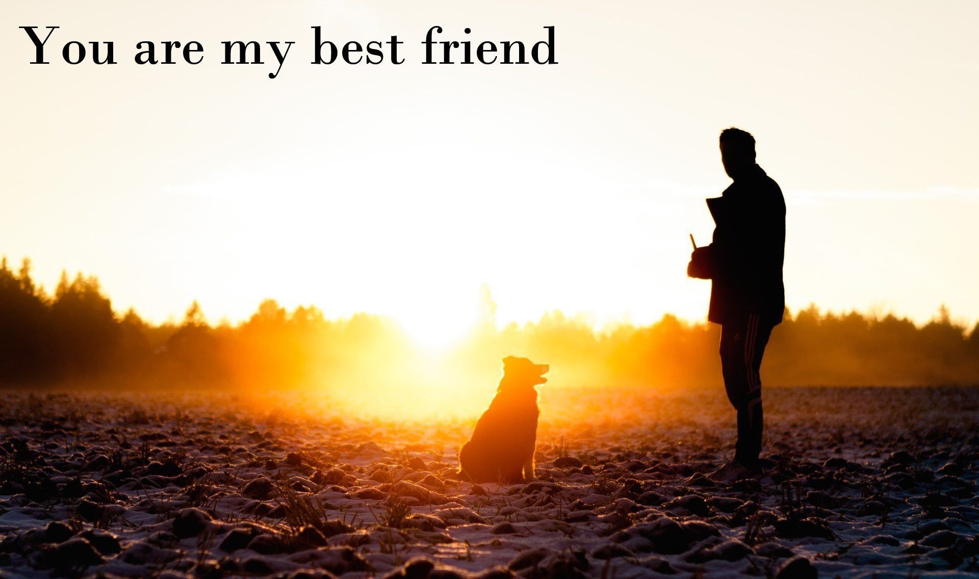 Best Friends Forever Wallpapers Wallpaper 1920ã1200 - Dog Your Best Friend - HD Wallpaper 