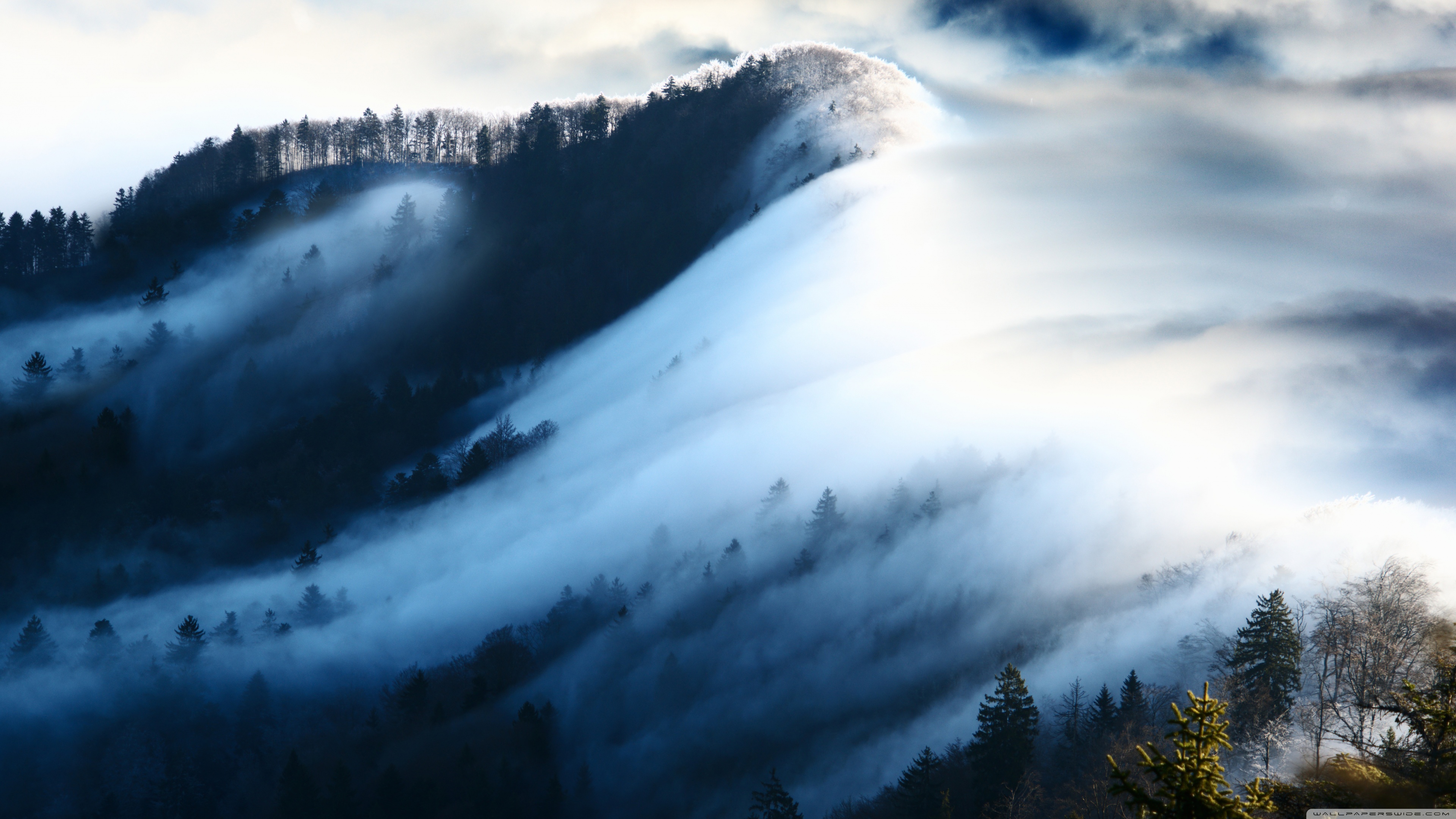 4k Wallpaper Fog - HD Wallpaper 