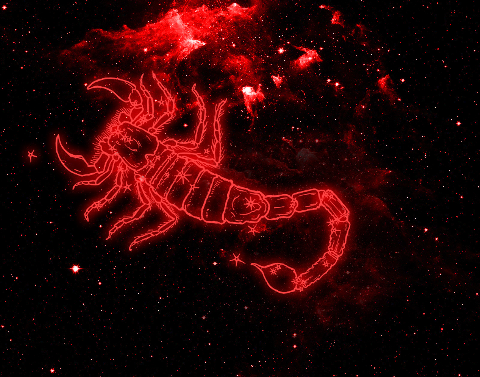 Scorpio Zodiac Sign - HD Wallpaper 