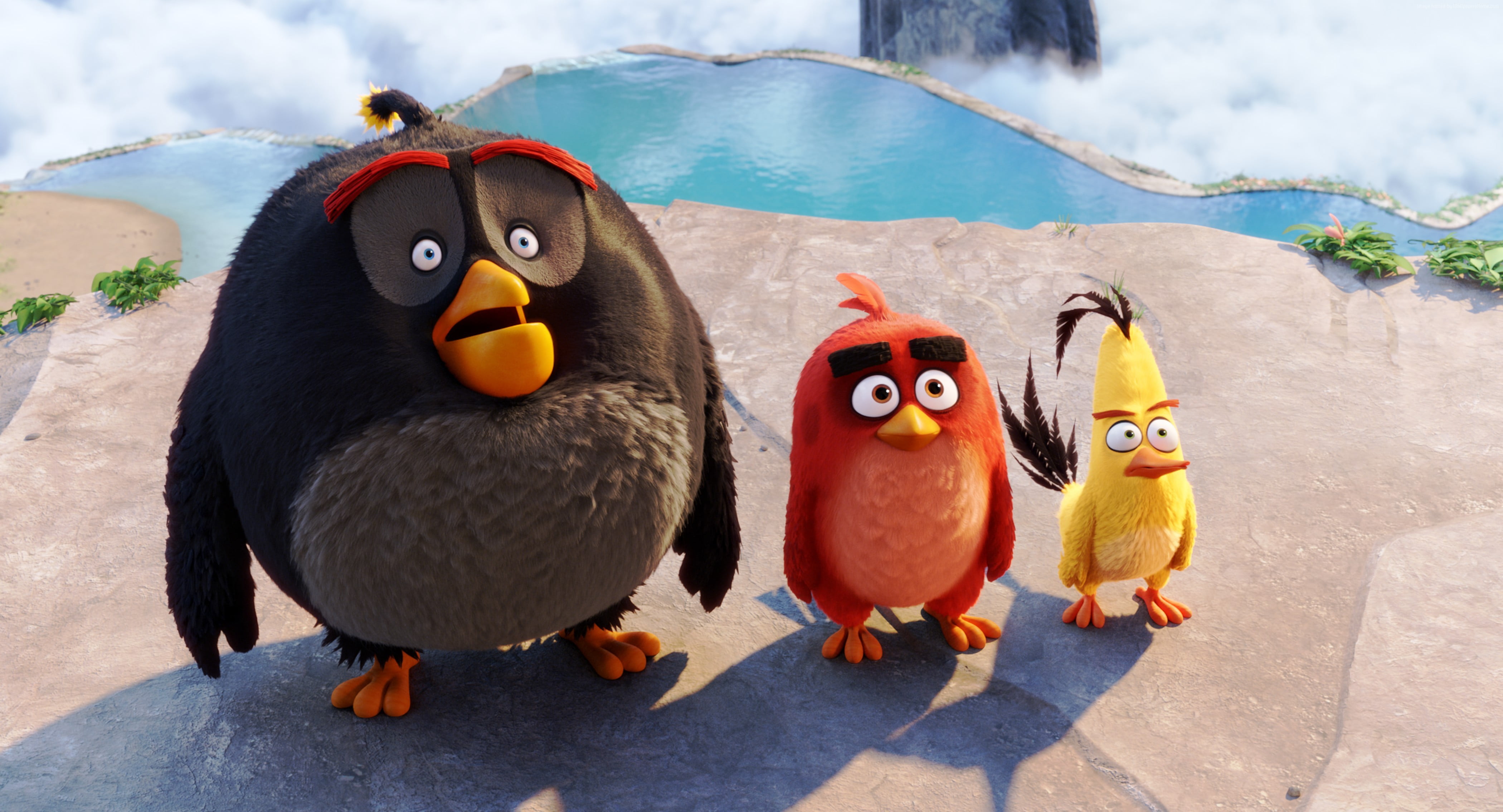 Angry Birds Movie 2016 - HD Wallpaper 