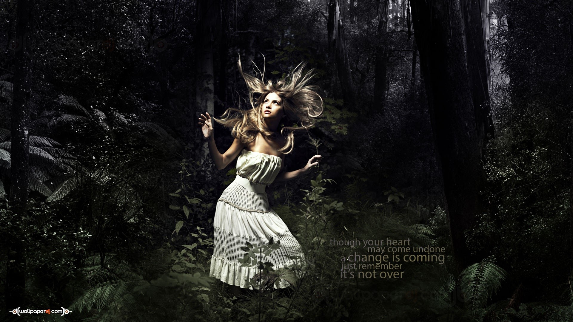 The Sun After Heartbreak Hd And Wide Wallpapers 
 Data-src - Woman Photography In Forest - HD Wallpaper 