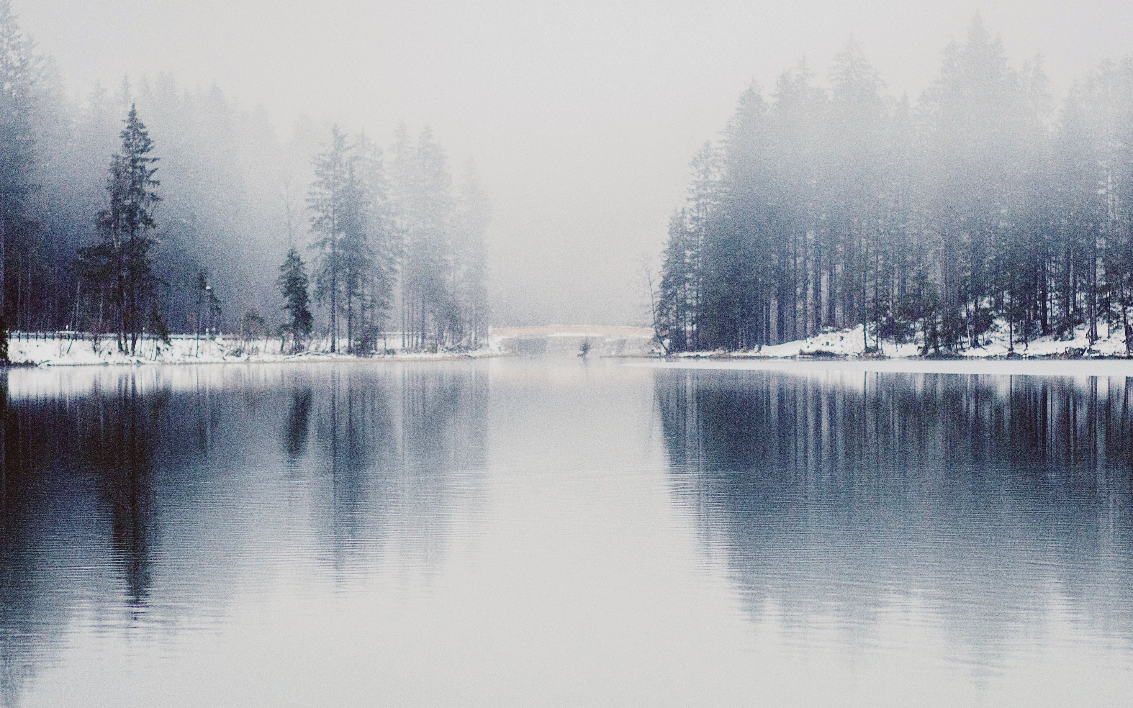Winter Fog - HD Wallpaper 