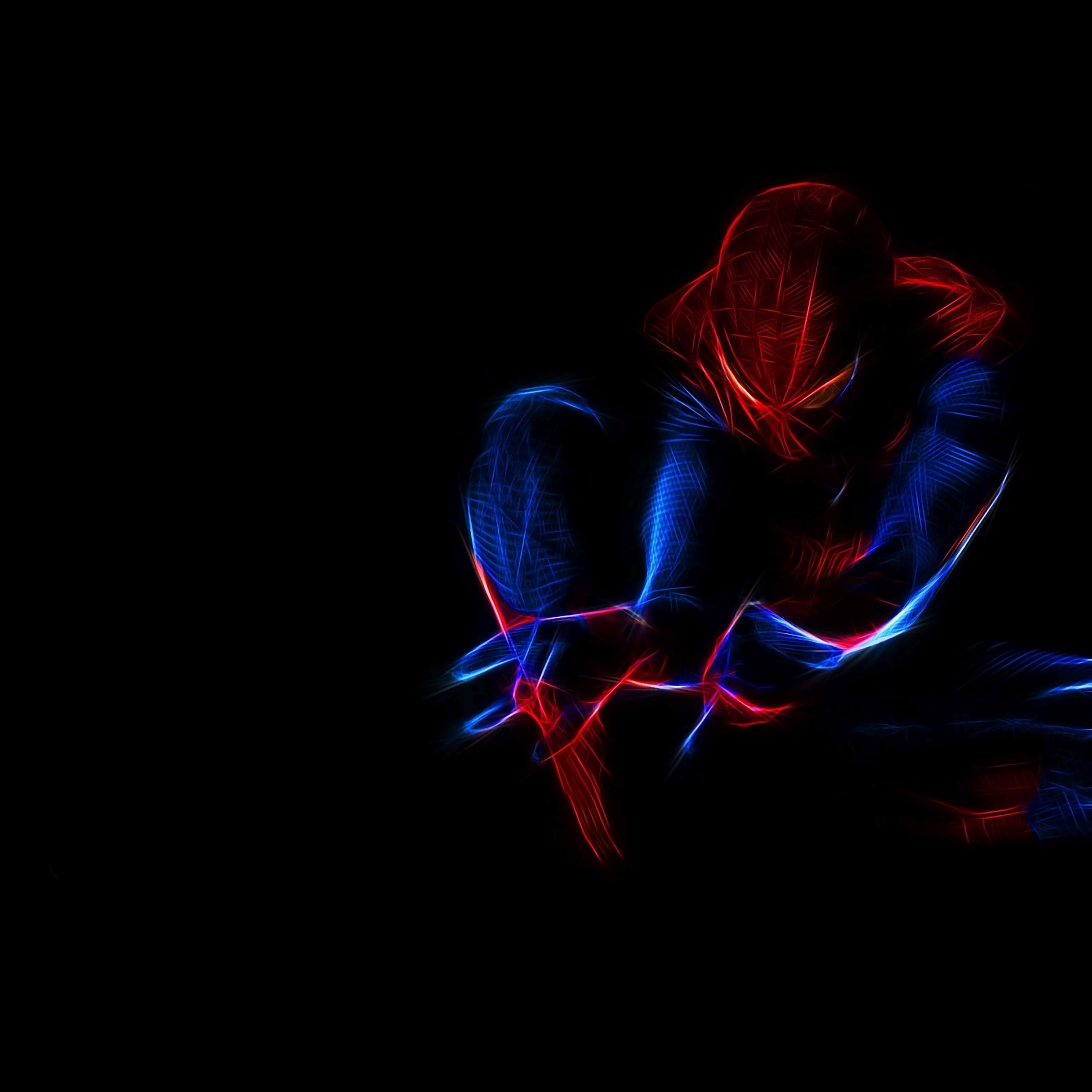 Spiderman Wallpaper Black - HD Wallpaper 