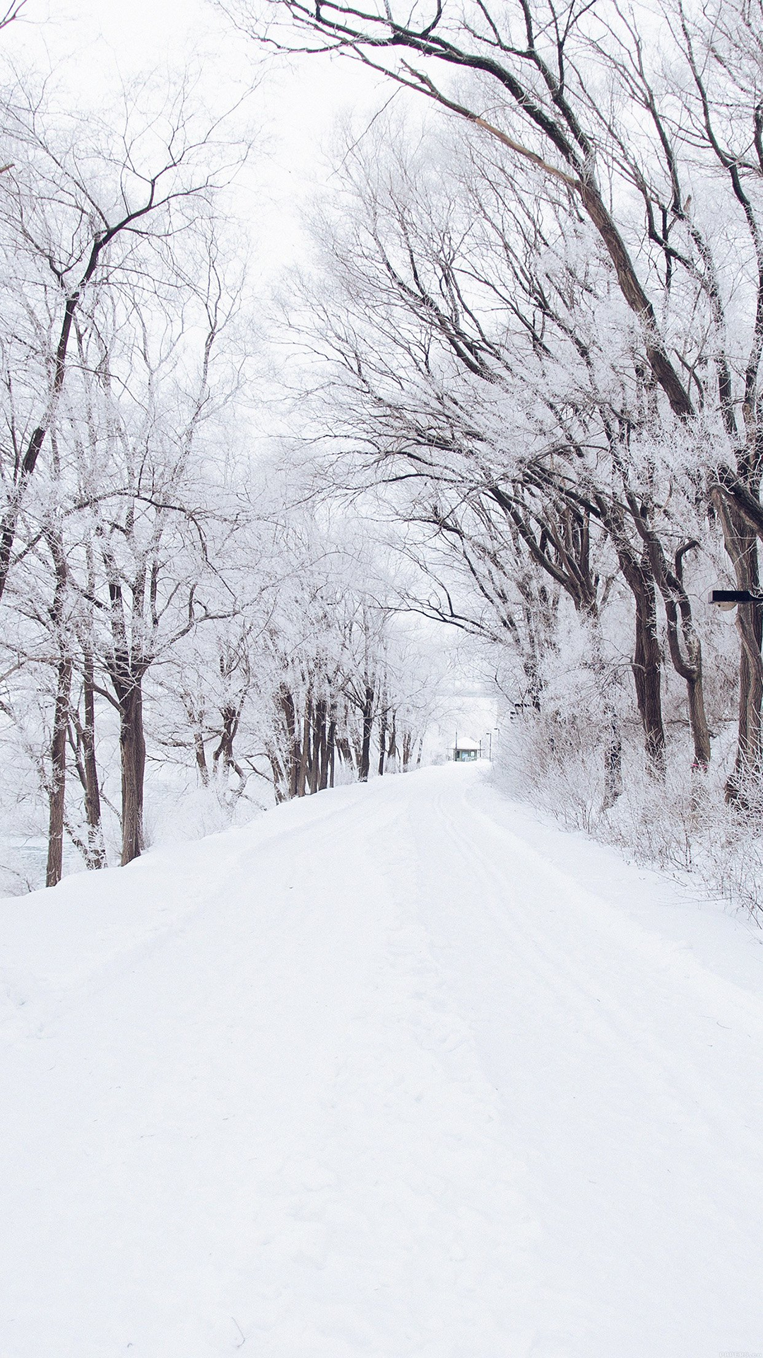 Winter Road Wallpaper For Iphone - Snow Wallpaper Iphone - HD Wallpaper 