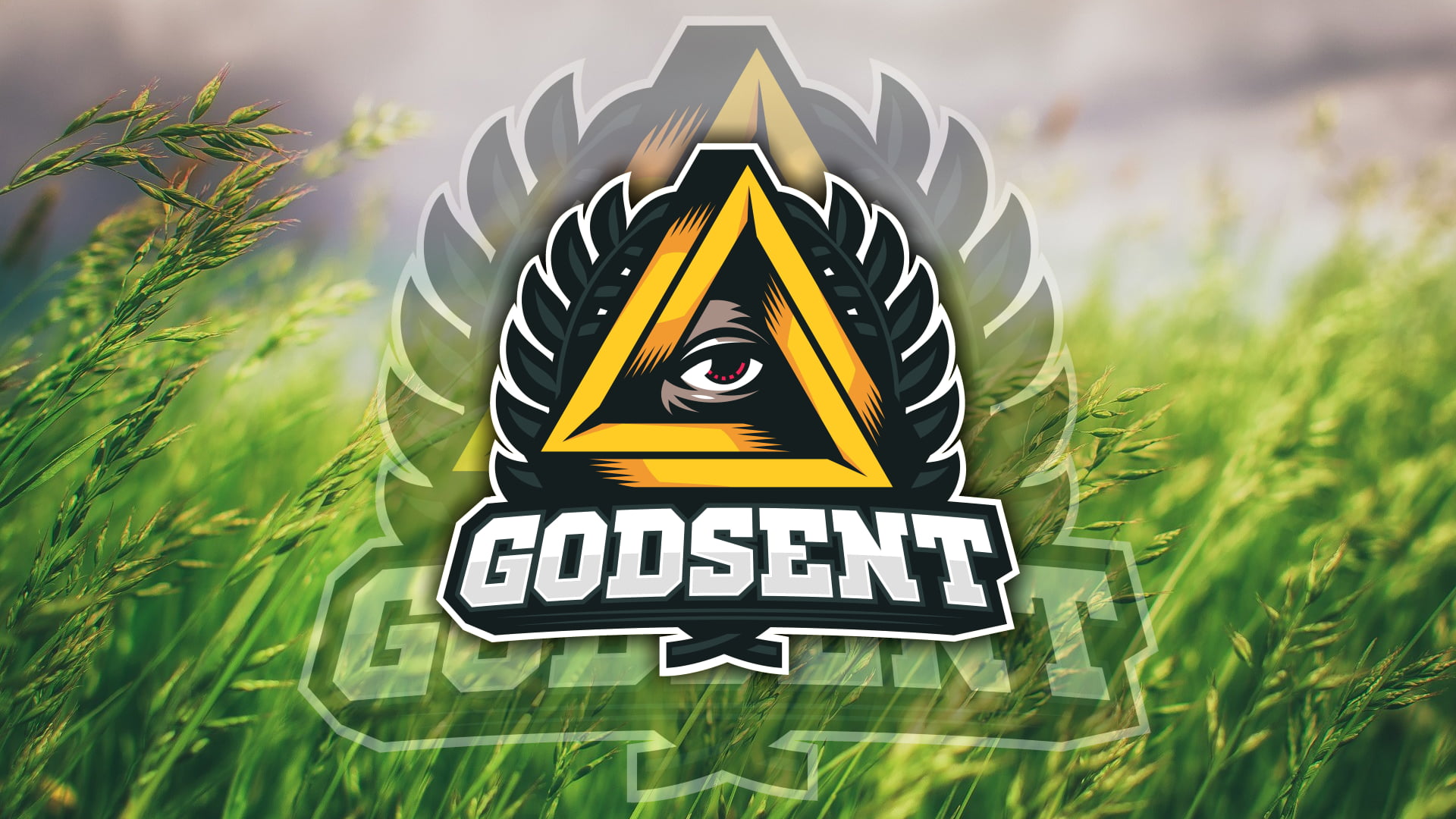 Godsent Cs Go - HD Wallpaper 