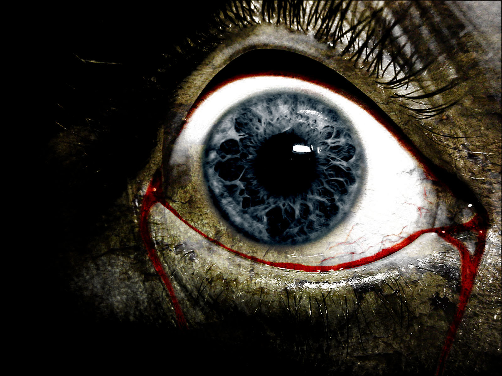 Eyes Staring At You In The Dark - HD Wallpaper 