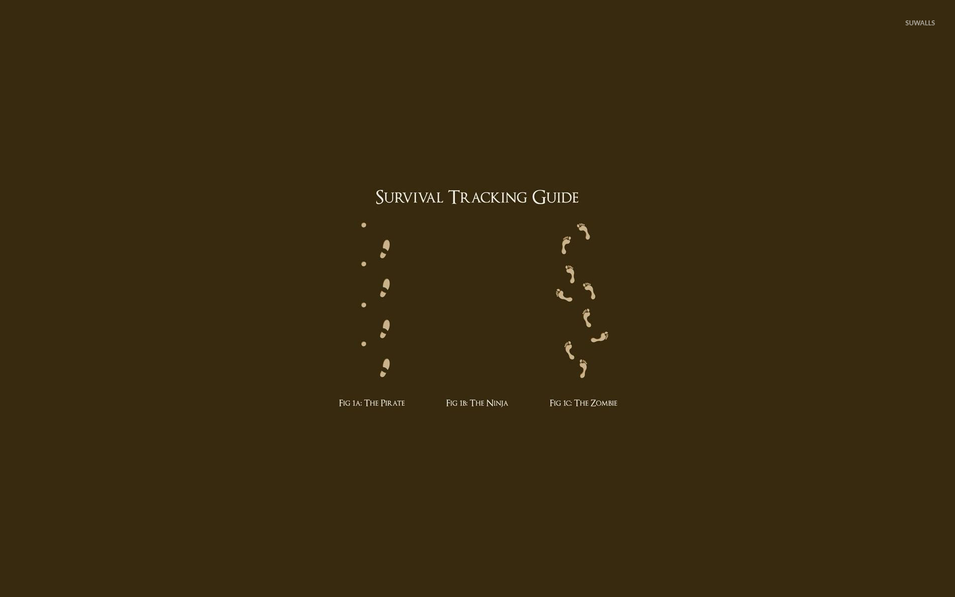 Survival Tracking Guide - HD Wallpaper 