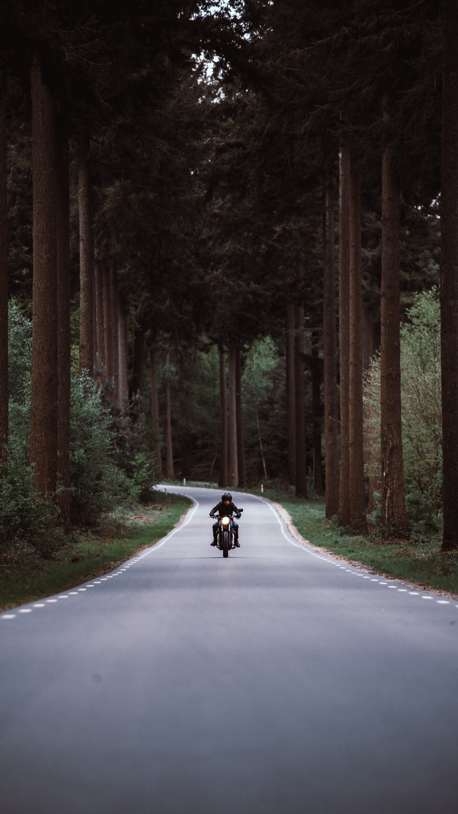 Wallpaper Motorcyclist, Motorcycle, Road, Forest, Movement, - Motorcycle On The Road - HD Wallpaper 