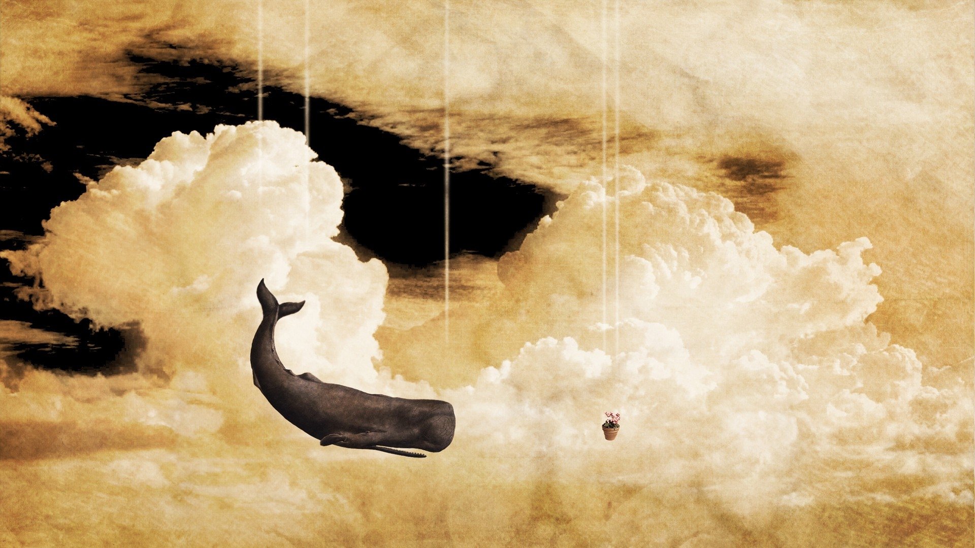 Hitchhiker's Guide To The Galaxy Background - HD Wallpaper 