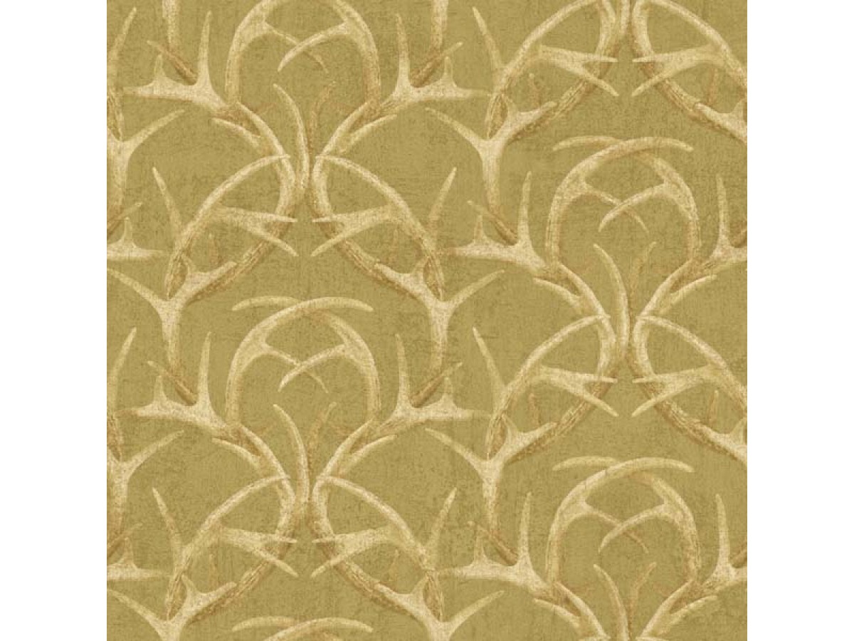 Wallpaper - HD Wallpaper 