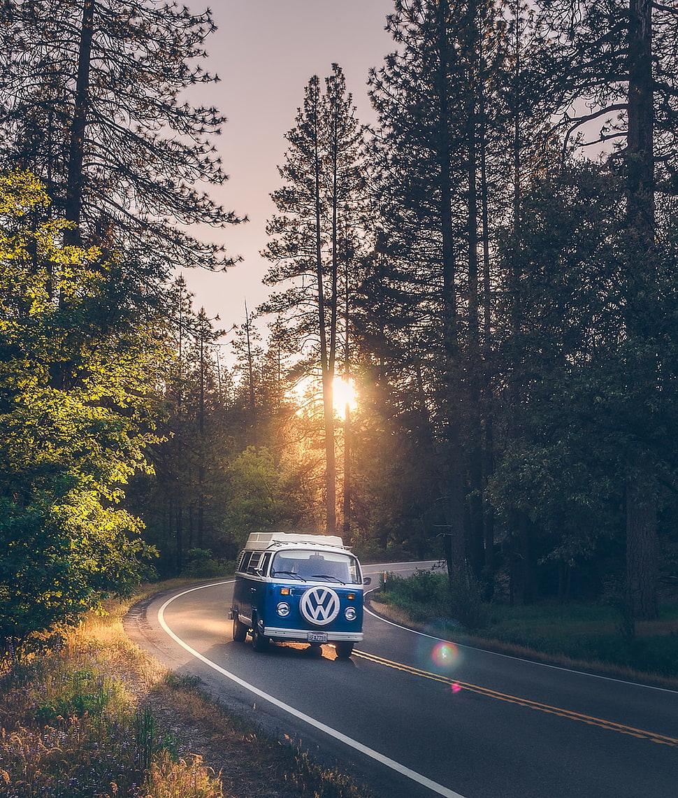 Blue And White Volkswagen Transporter 2, Photography, - Vw Bus Wallpaper Iphone - HD Wallpaper 