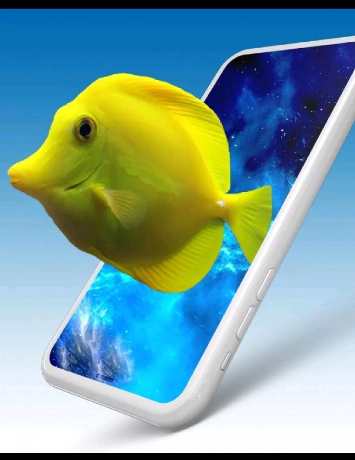 Live Wallpapers Backgrounds Hd/3d Amoled Pixel 4d V2 - Coral Reef Fish - HD Wallpaper 