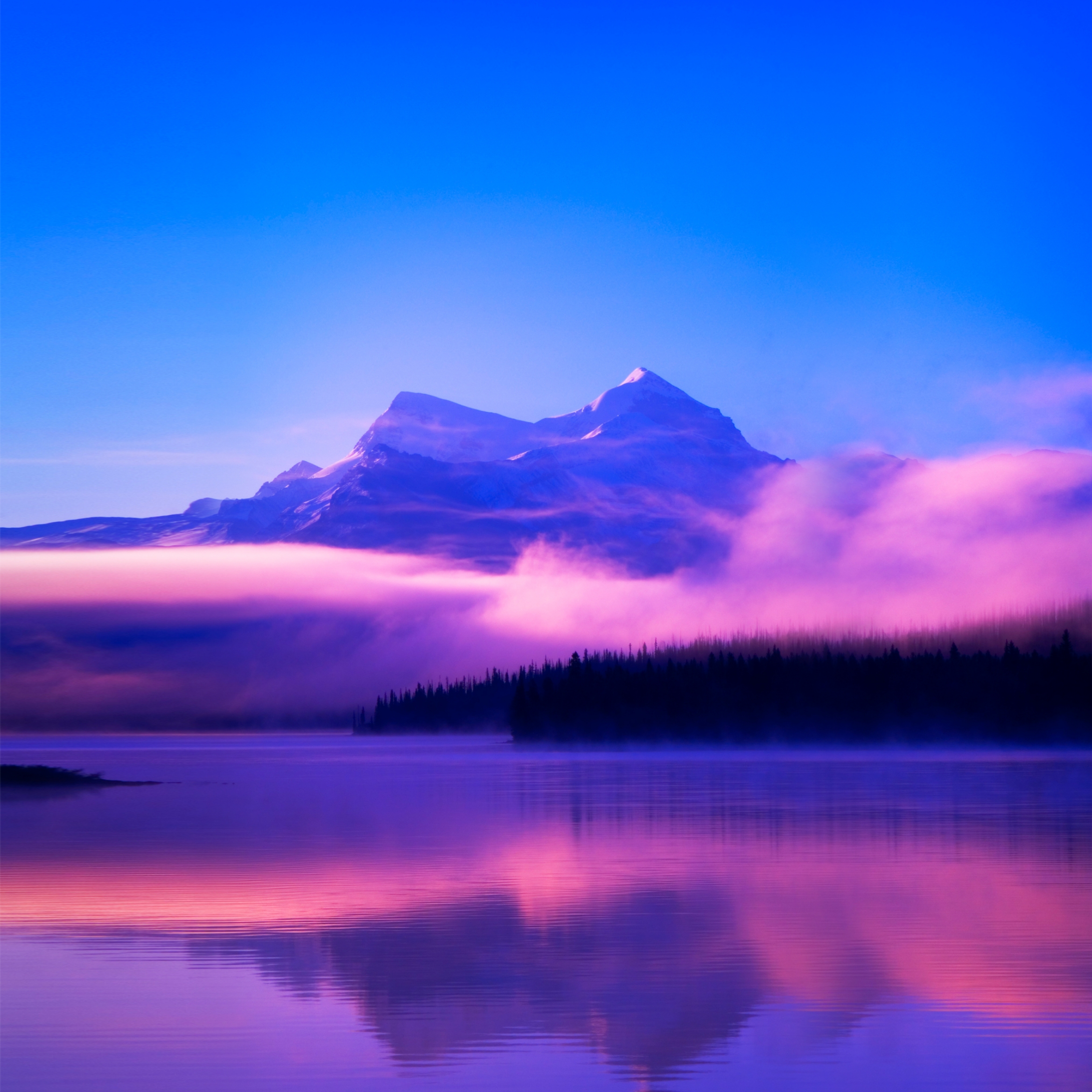 Honor Magic 2 Original - HD Wallpaper 