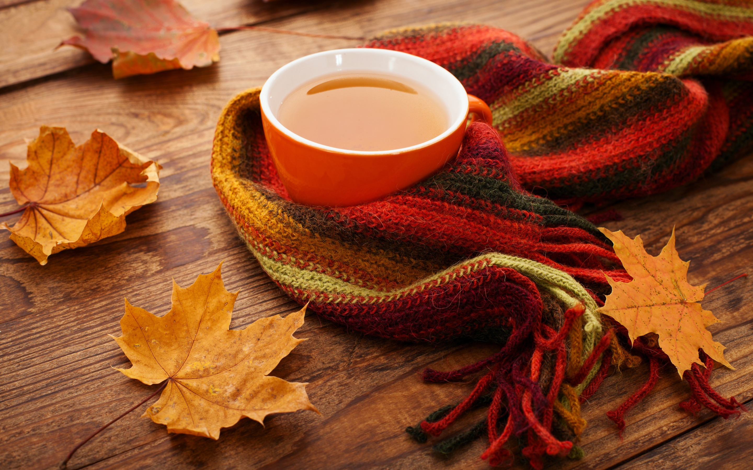 Autumn Leaves Tea Cup Scarf - Осенние Обои На Рабочий Стол - HD Wallpaper 