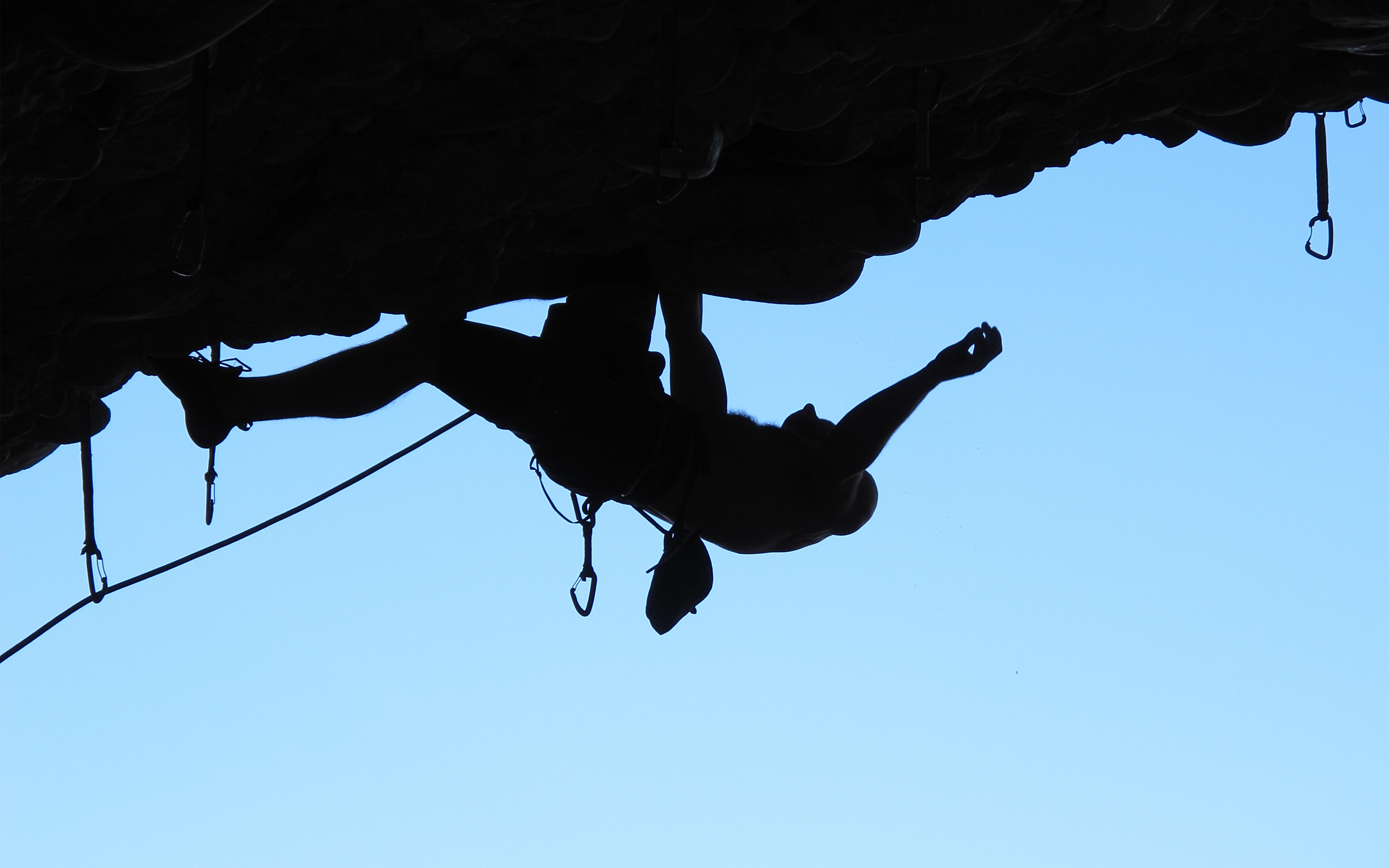 Wallpaper - HD Wallpaper 