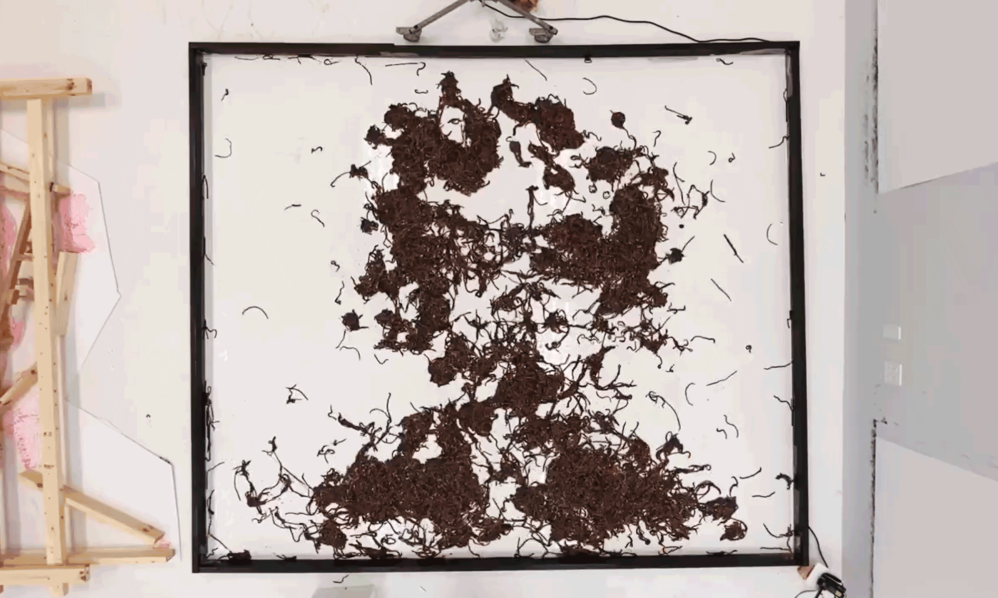 Edgar Allan Poe Worm Portrai - HD Wallpaper 