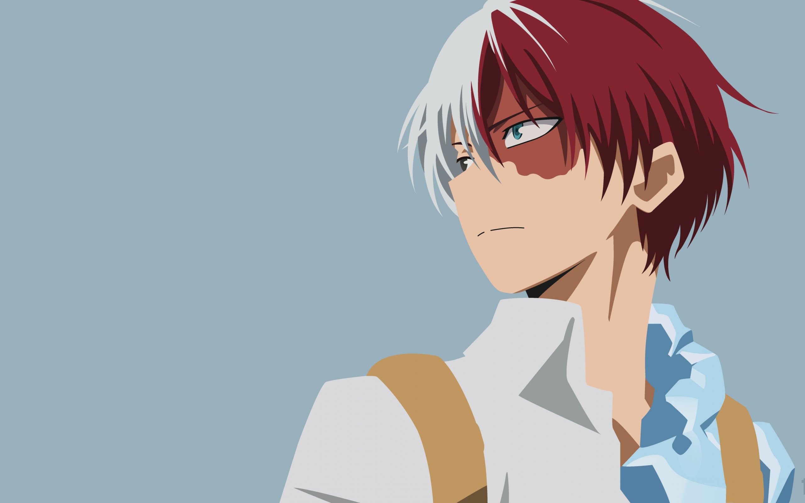 Boku No Hero Academia, Manga, Male Characters, Japanese - Todoroki Background - HD Wallpaper 