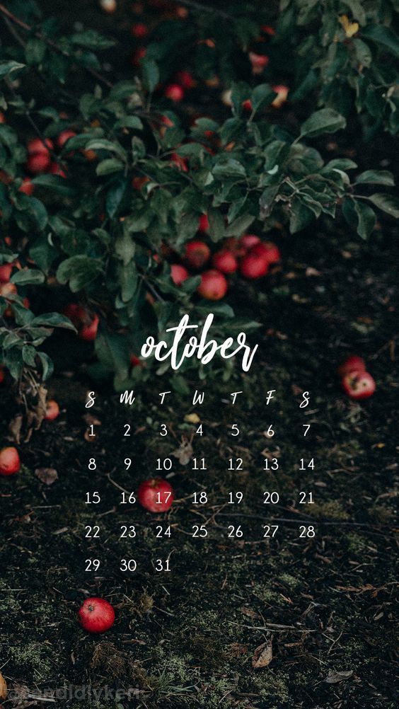 October Image - Picnic Caption For Instagram - HD Wallpaper 