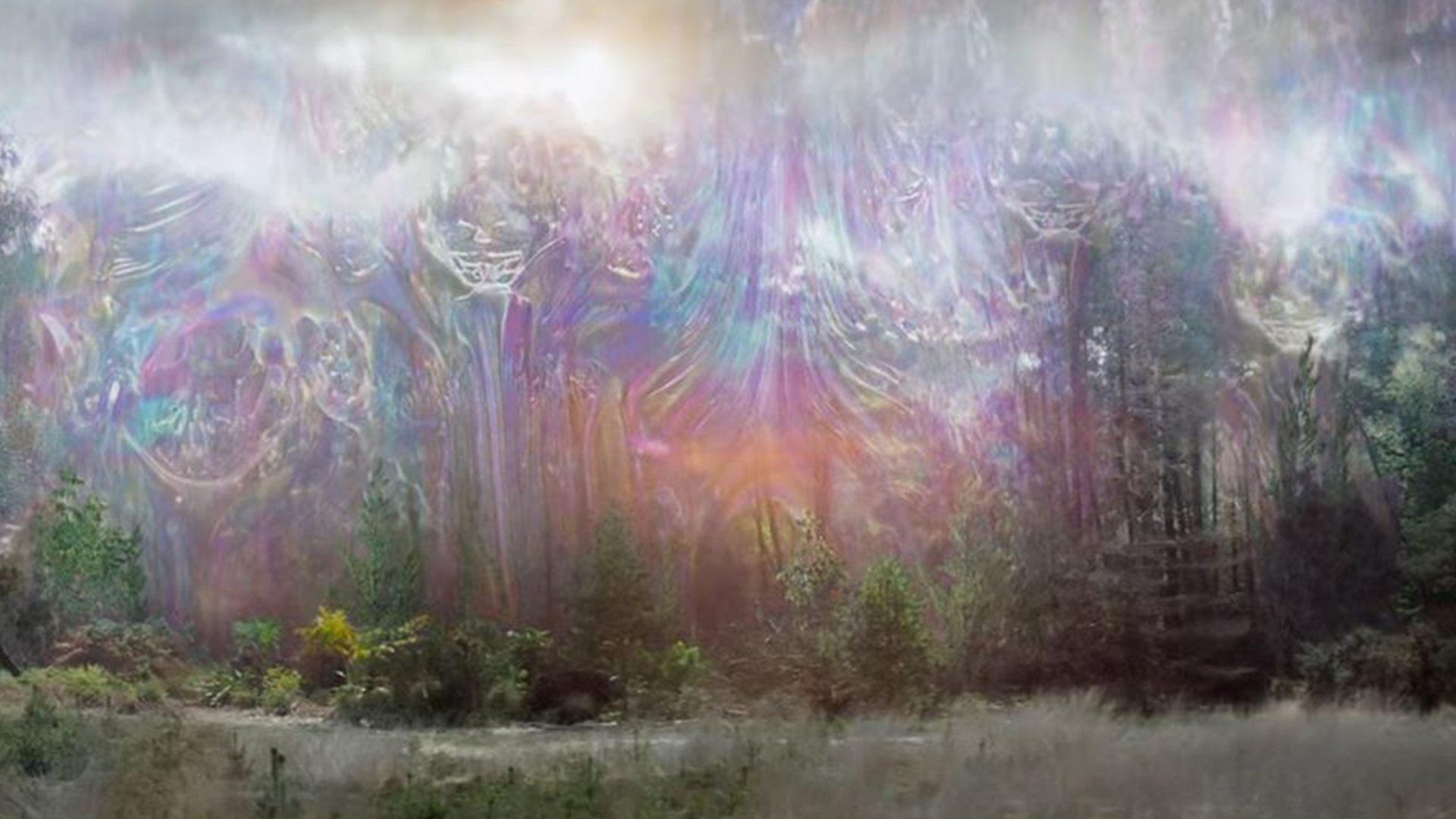 Annihilation Film - HD Wallpaper 
