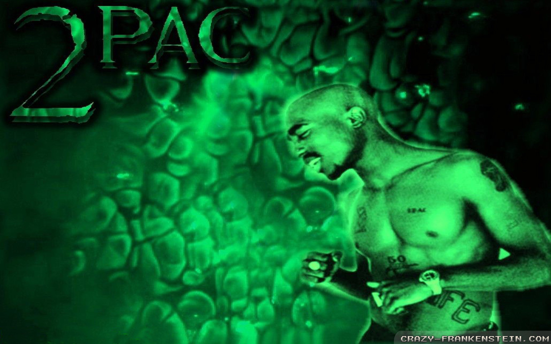 2pac Green - HD Wallpaper 