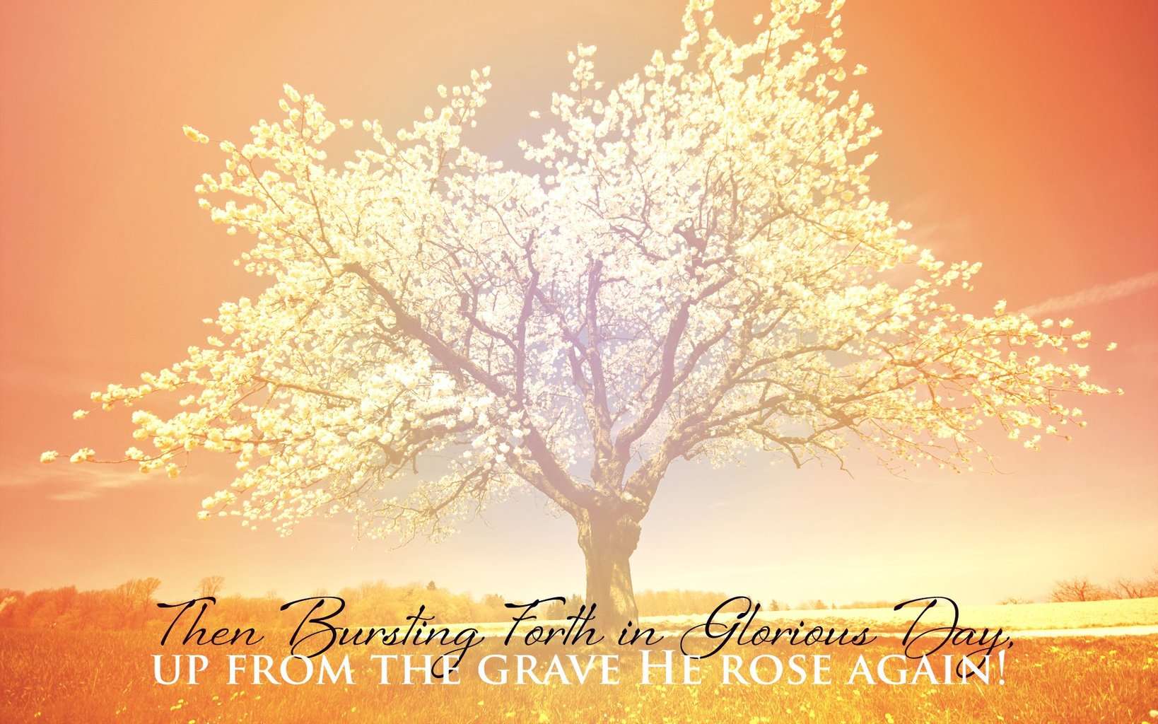 Free Christian Desktop Calendar Wallpaper-56u8u1s - Easter Religious - HD Wallpaper 