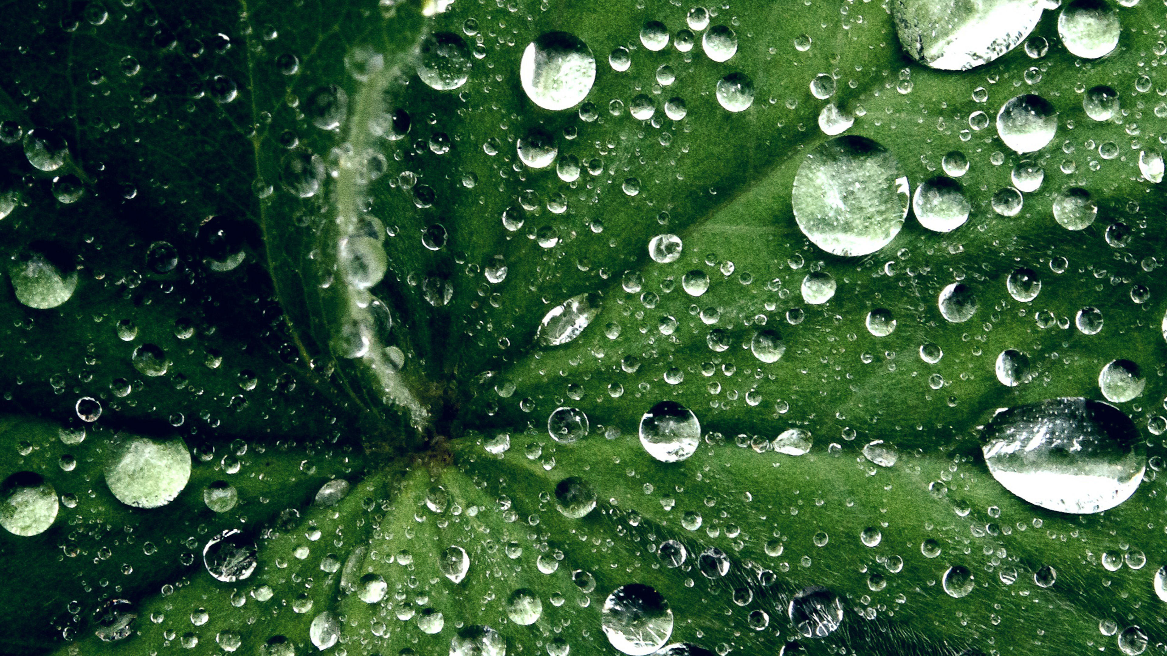 Desktop Wallpaper Water Drop 4k - HD Wallpaper 