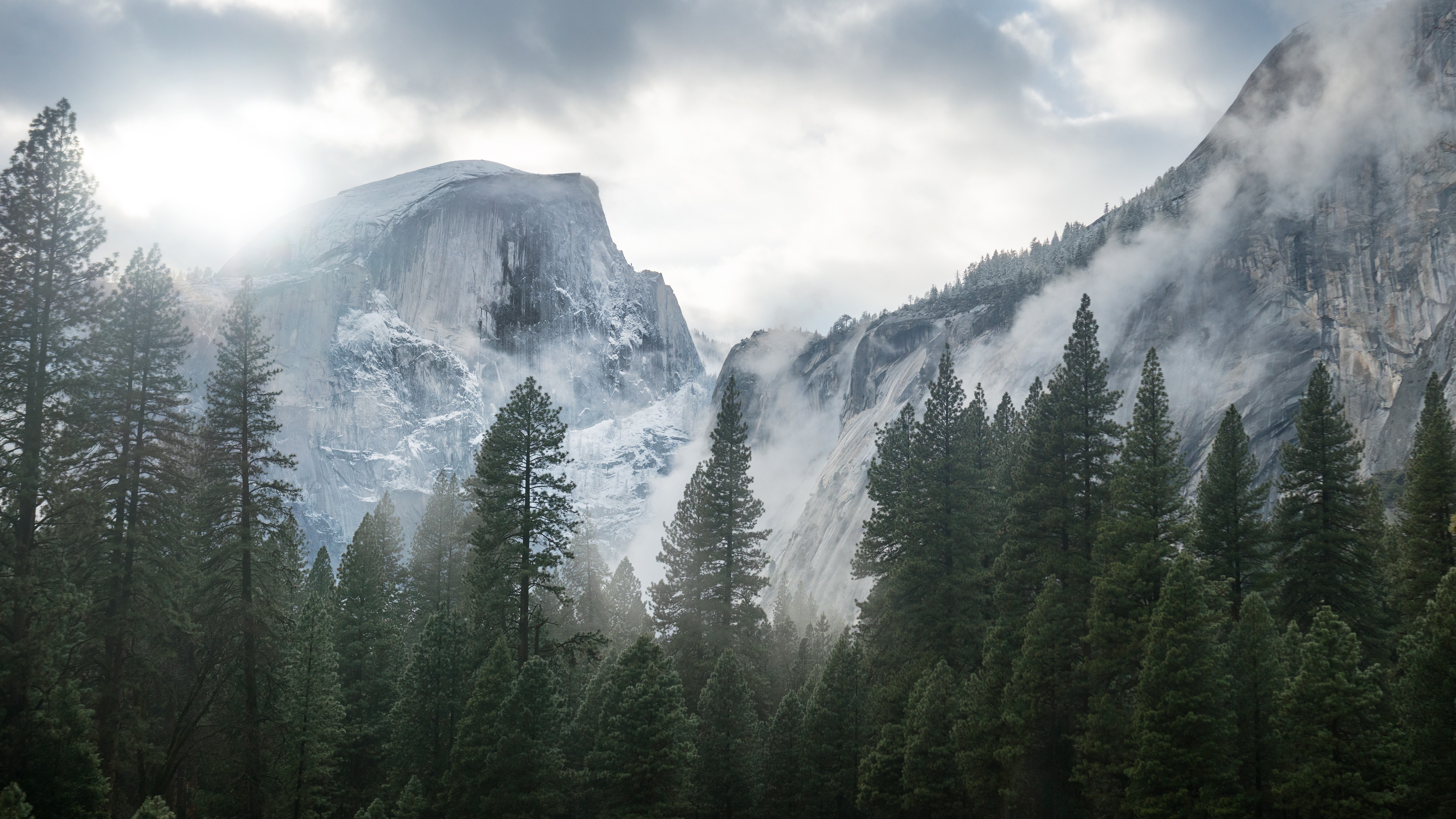 Mountain And Tree Background - HD Wallpaper 
