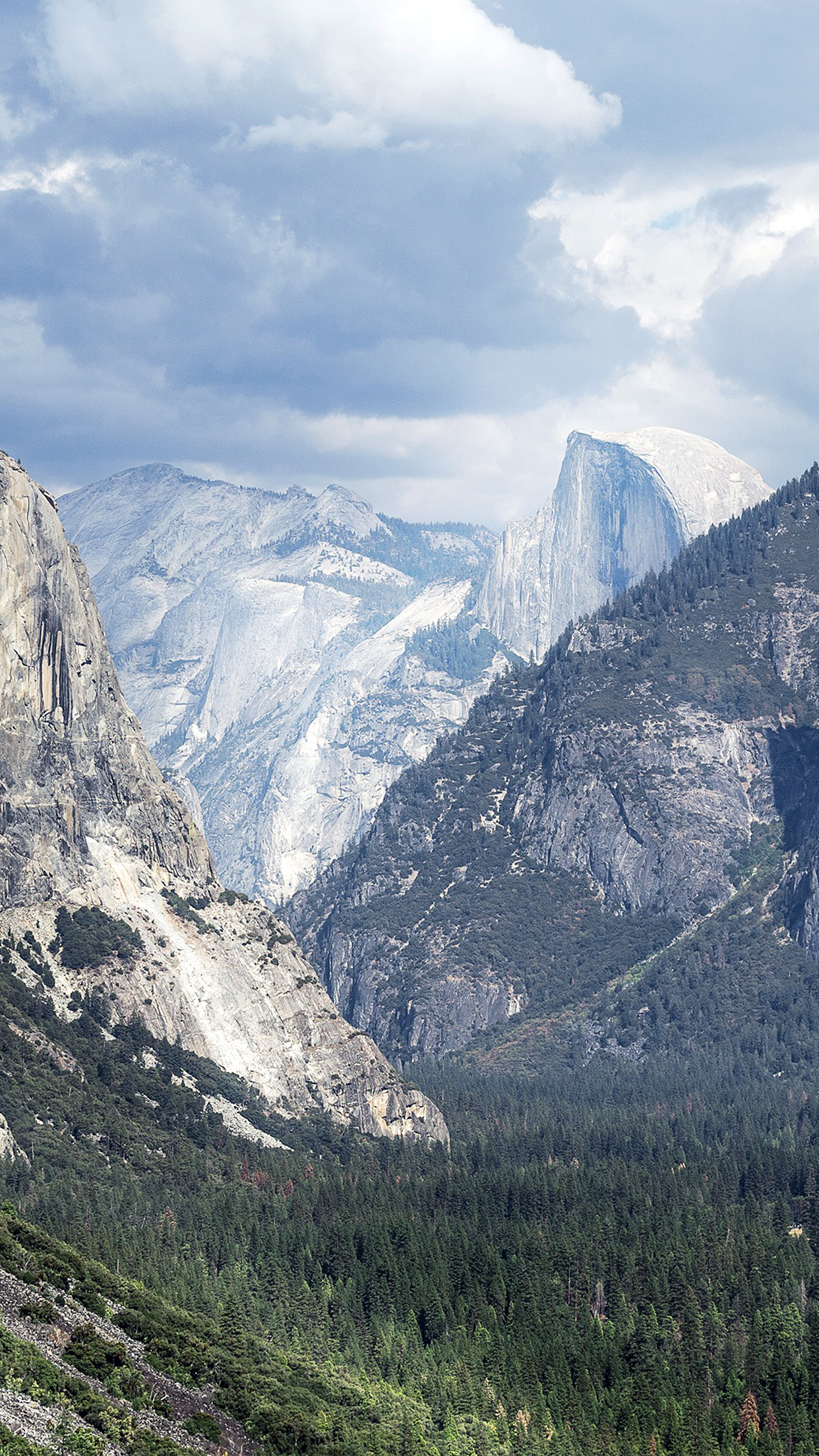 Yosemite Mountain Nature Rock Sky Forest Cloud Android - Yosemite National Park, Yosemite Valley - HD Wallpaper 