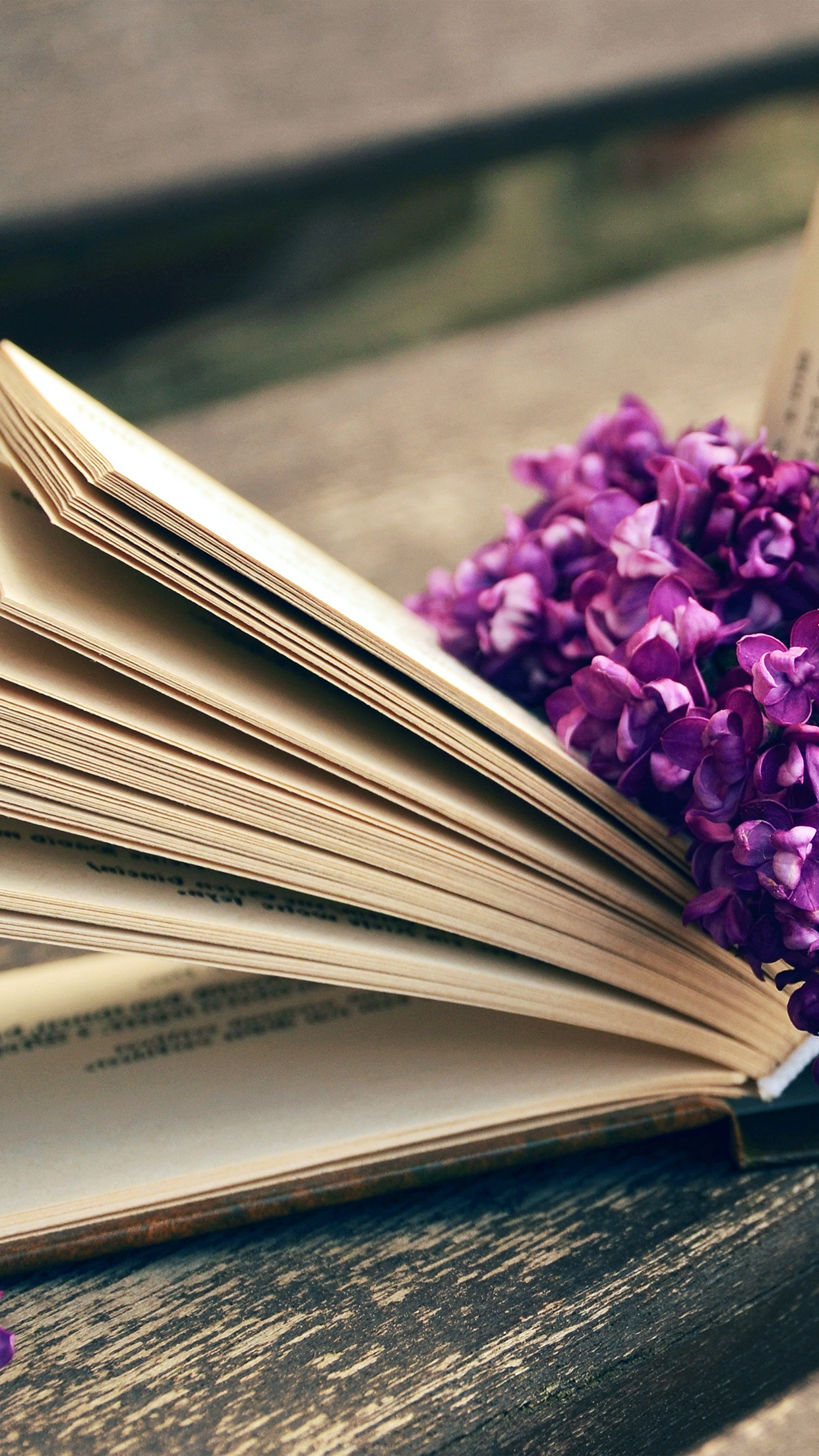 حكم عبارات جميلة عن الحياة والامل - HD Wallpaper 