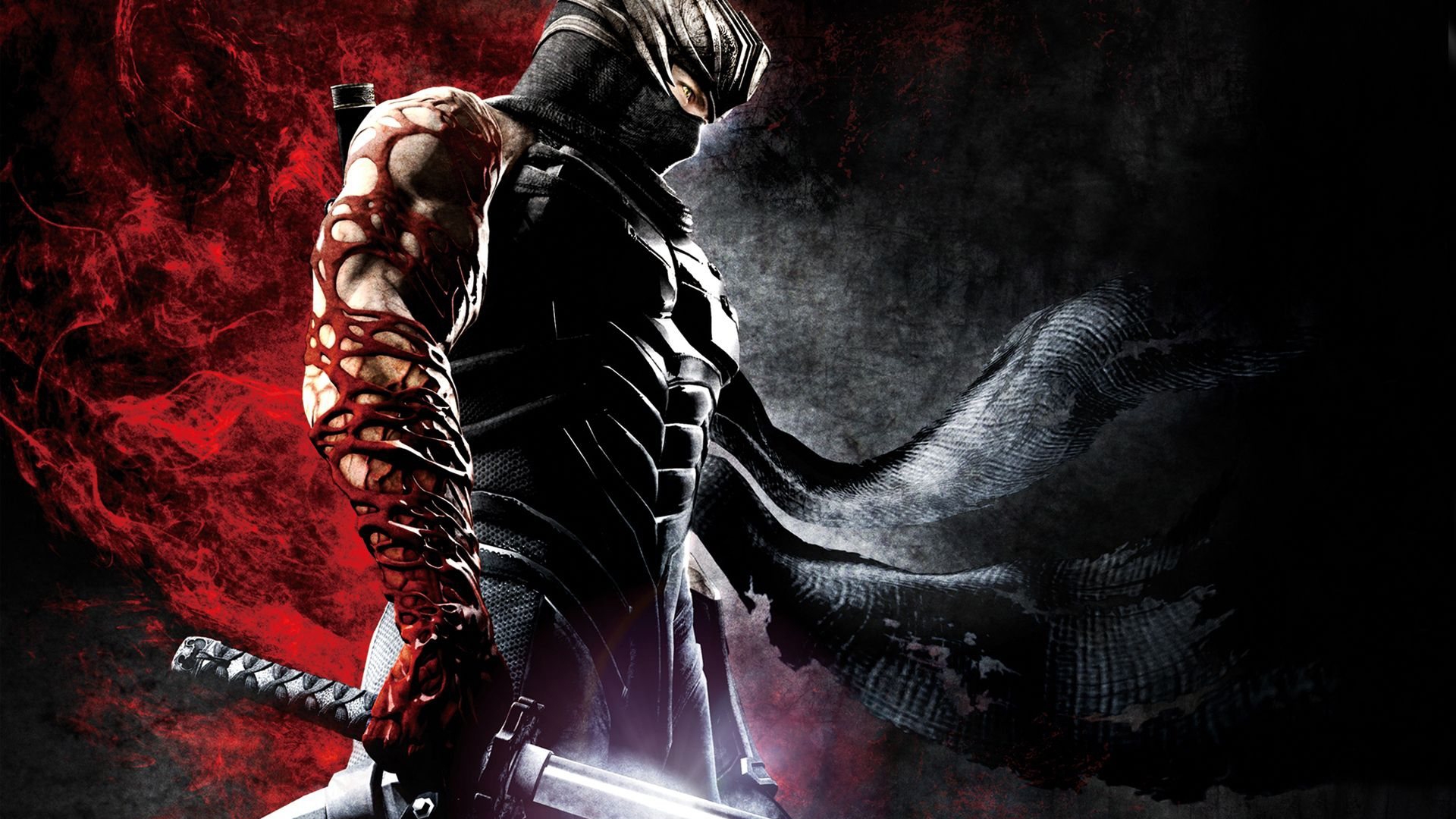 Ninja Gaiden - HD Wallpaper 
