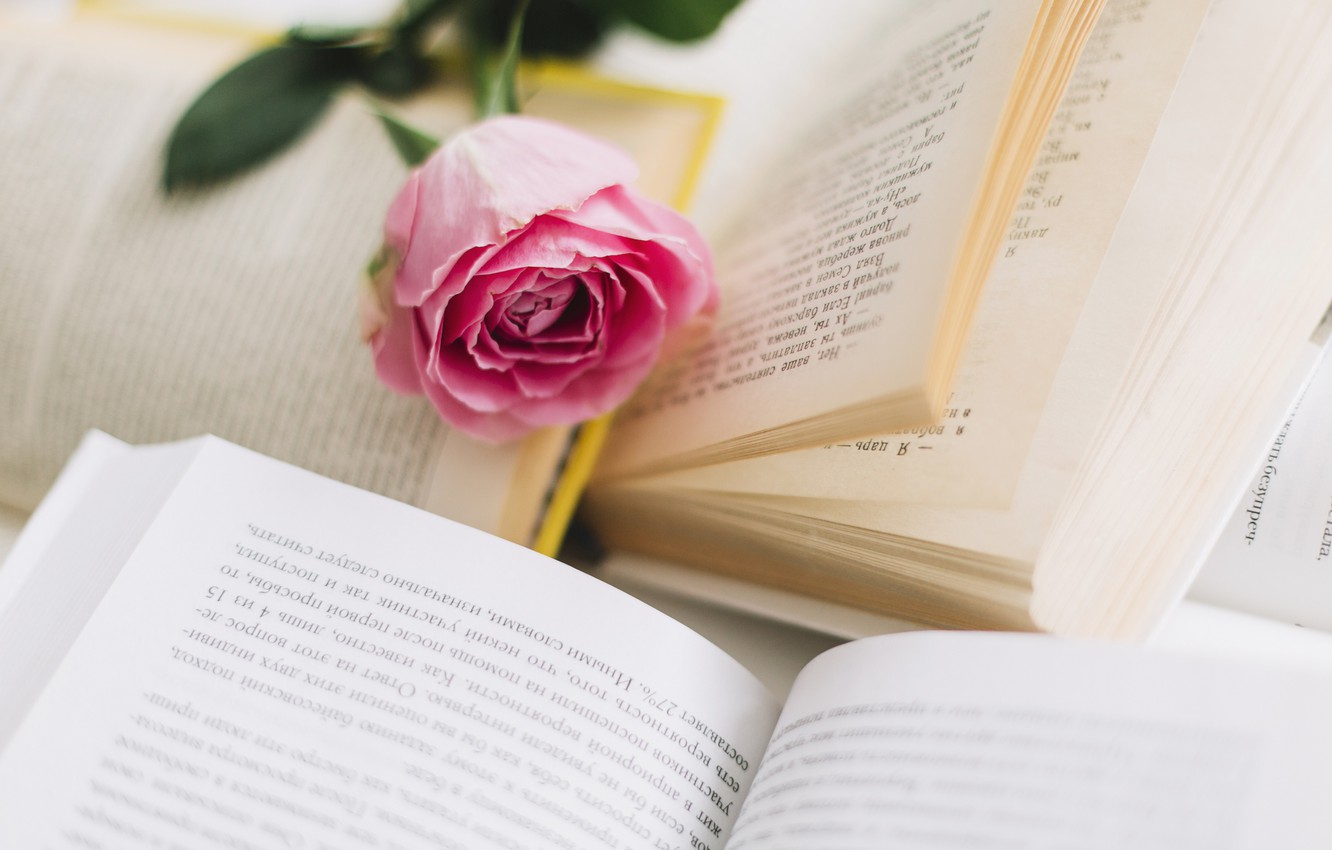 Photo Wallpaper Flower, Pink, Rose, Books, Bud, Rose, Books Roses